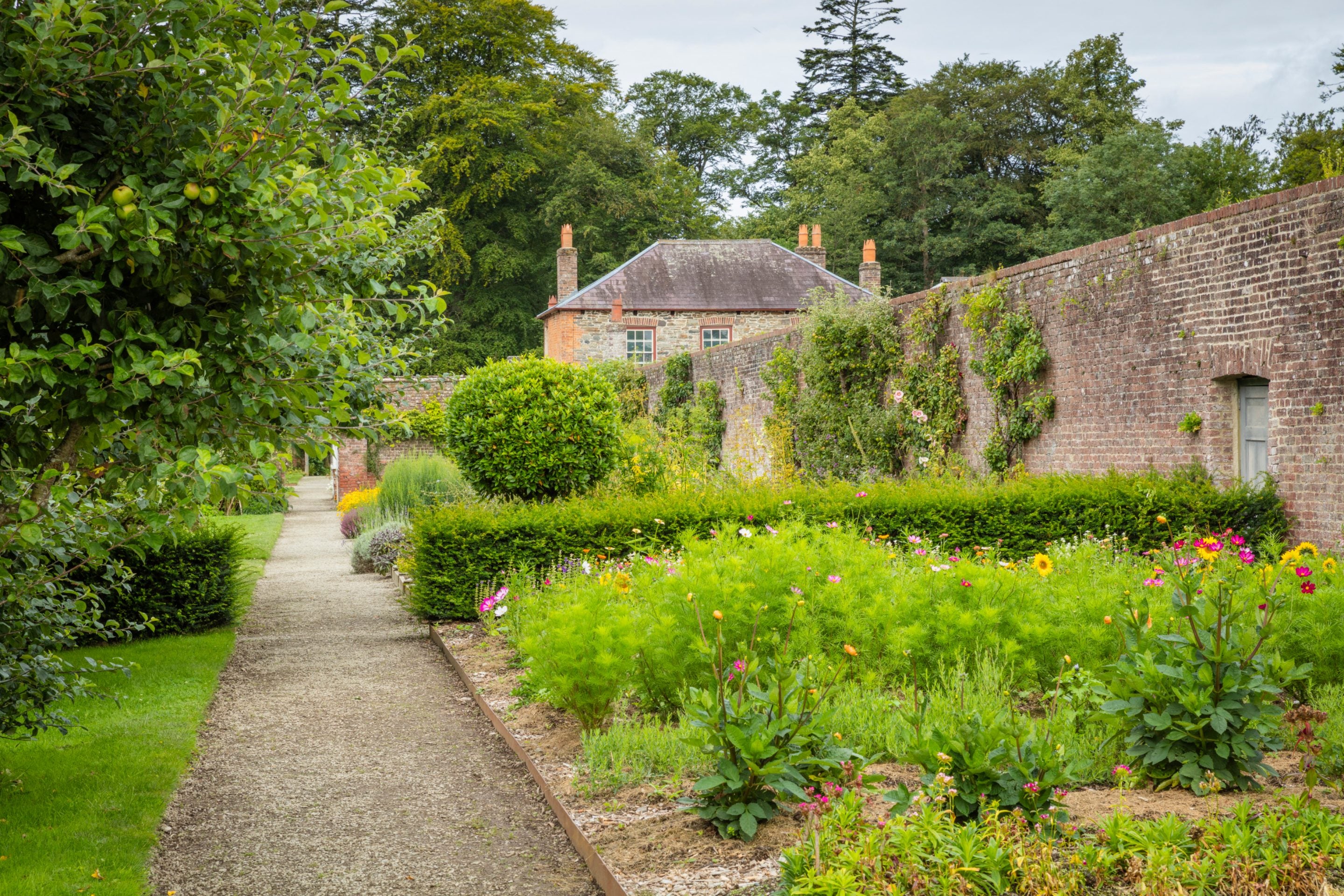 Walled Garden in Summer, Llanerchaeron