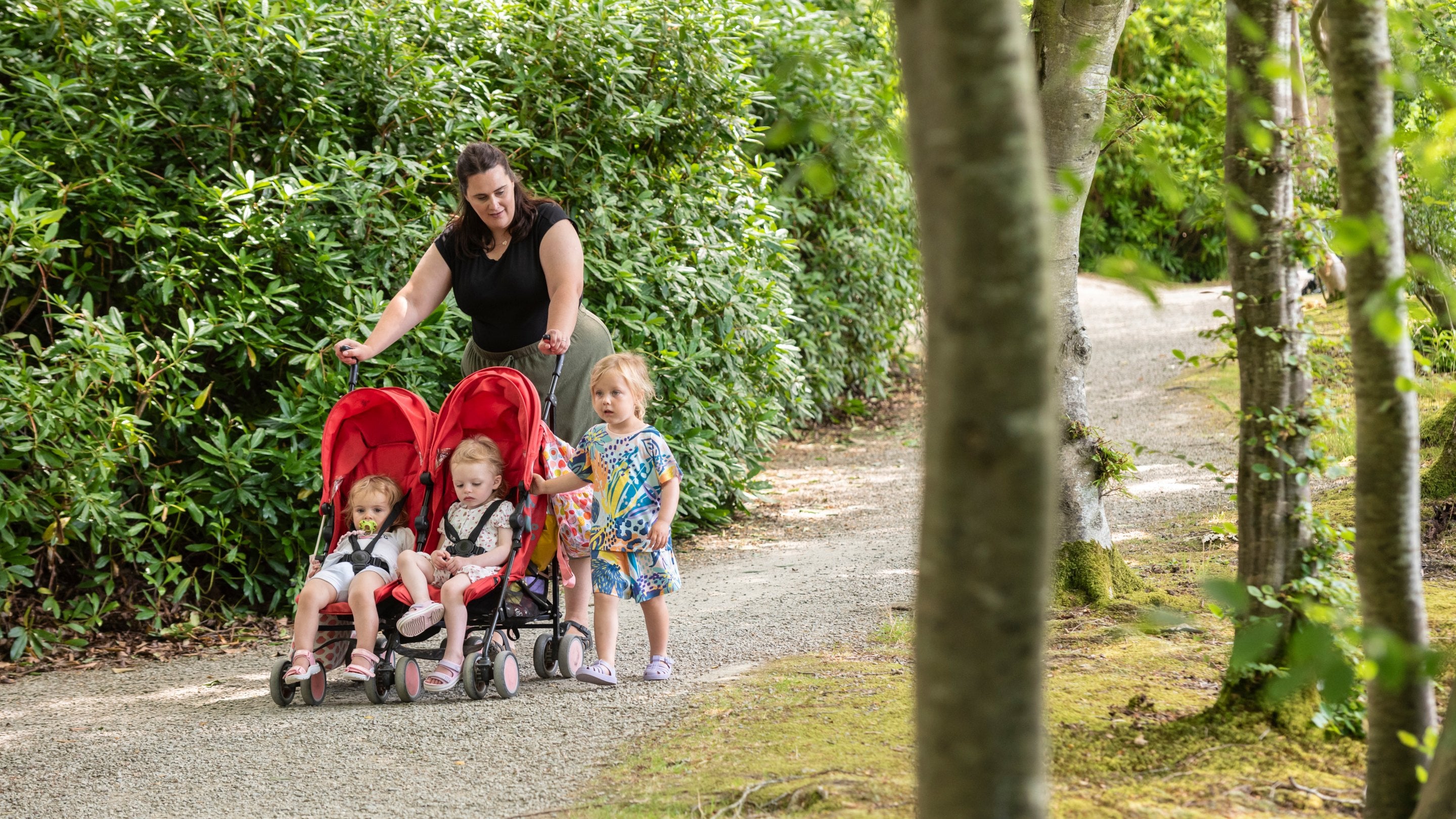 A woman with a pushchair walking on a path next to the lake at Llanerchaeron, Ceredigion