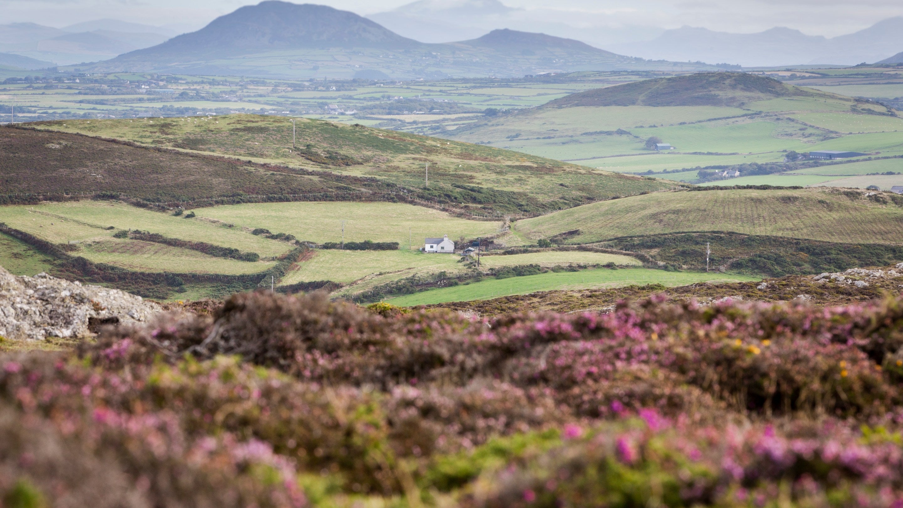 Views of Llŷn and Eryri from Mynydd Mawr