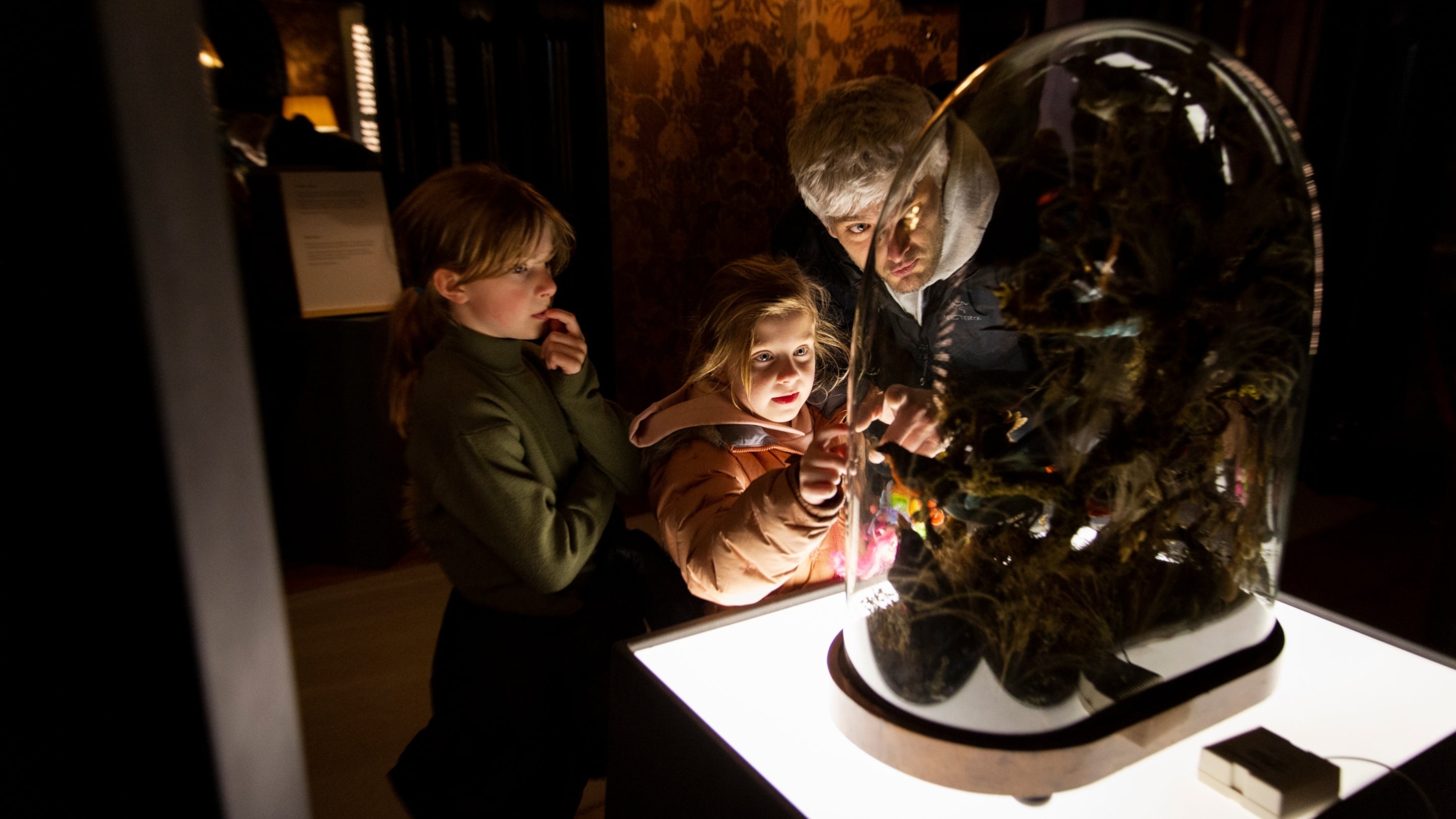 Ymwelwyr yn edrych ar arddangosfa 'Beth yn y Byd!' yng Nghastell a Gardd Penrhyn, Gwynedd, Gogledd Cymru