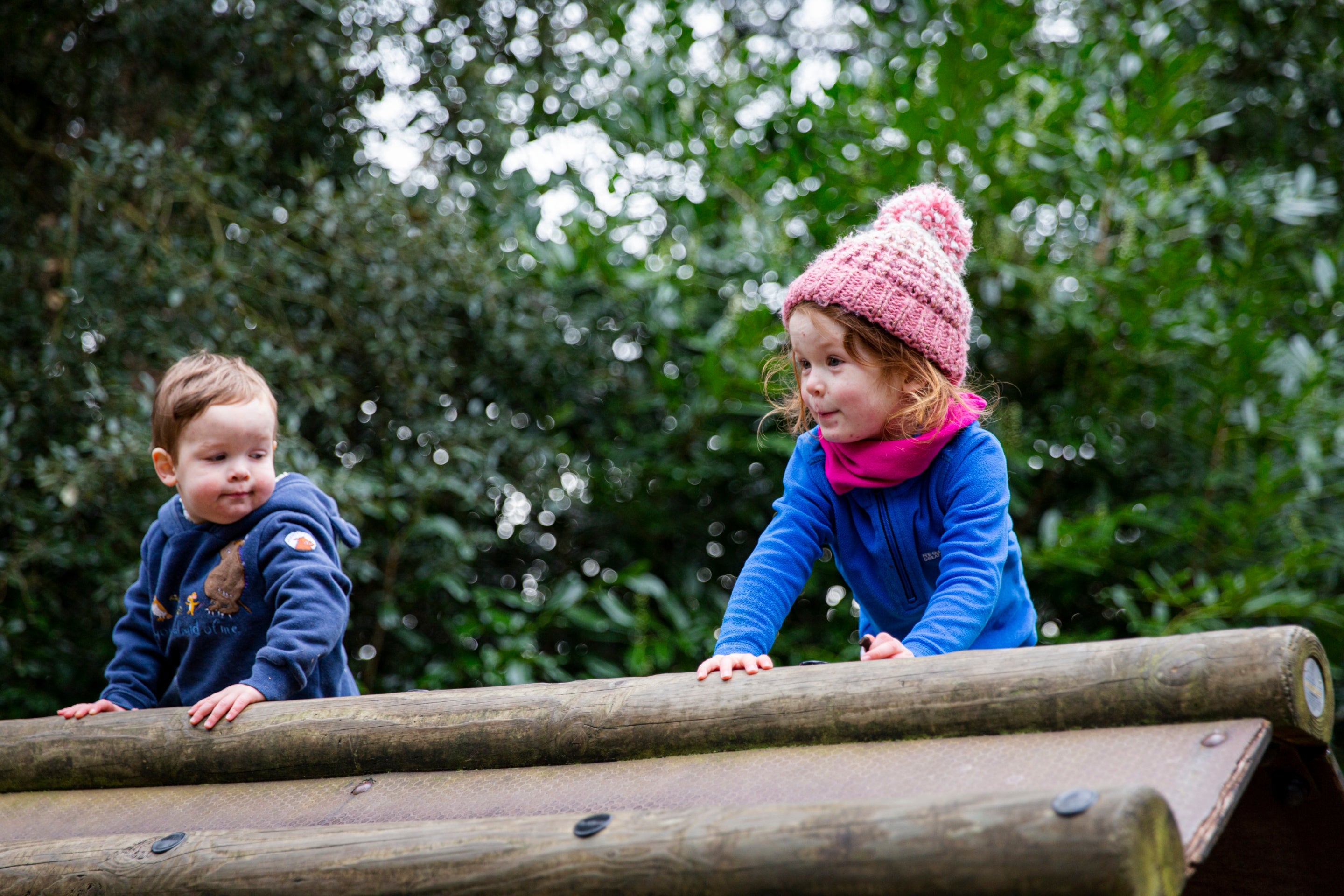 Children on climbing frames in Rook Wood playground, Penrhyn Castle