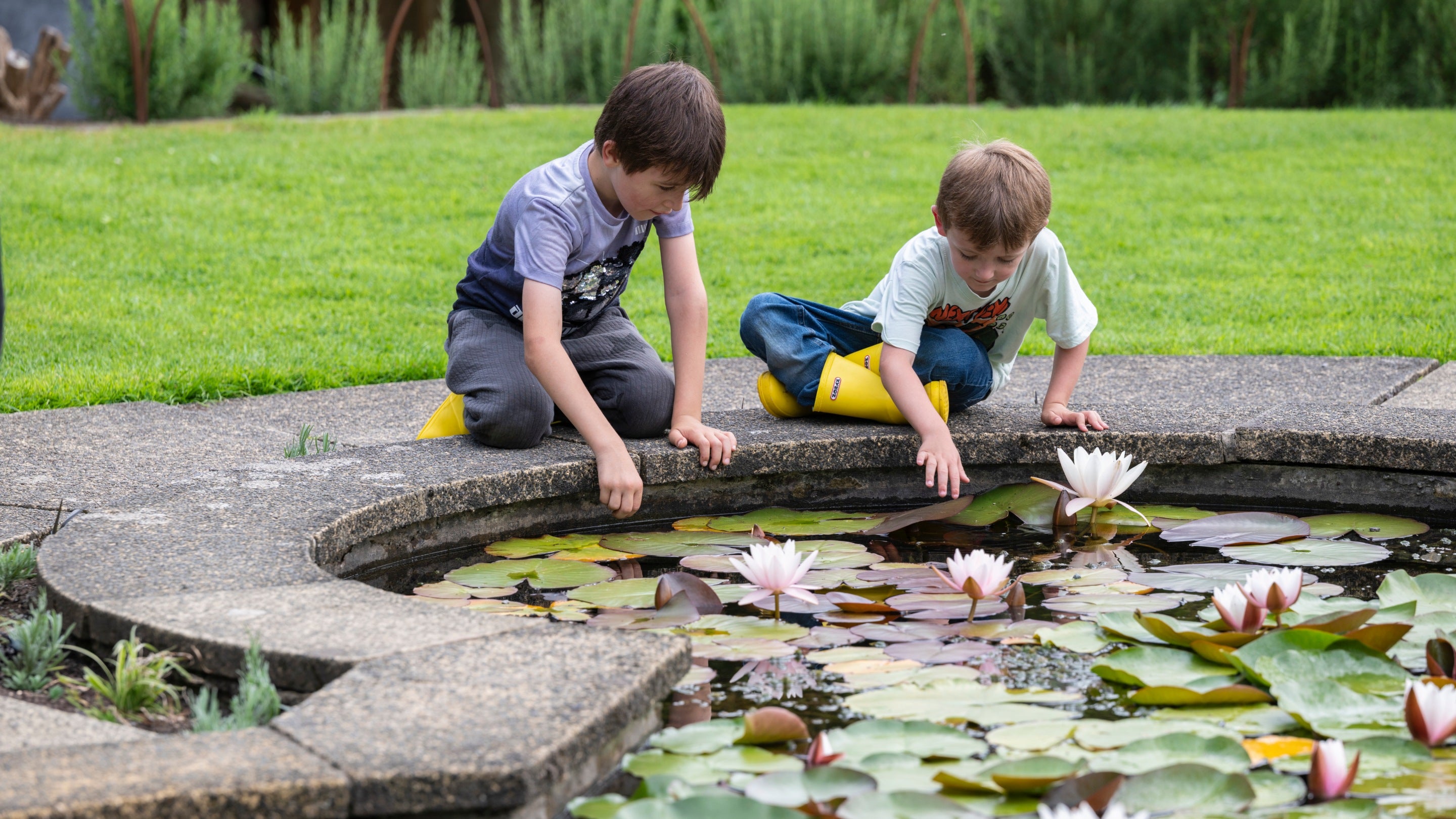 Children investigating one of the ponds in the Walled Garden during the summer at Penrhyn Castle