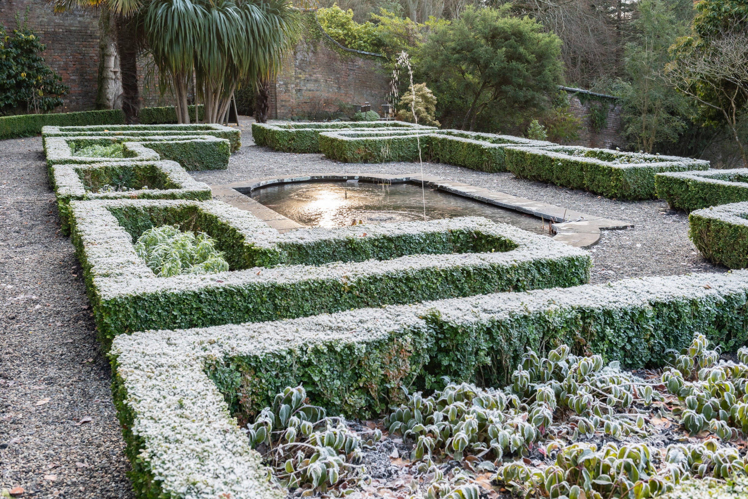 Frosty Top Terrace at Penrhyn Castle and Gardens