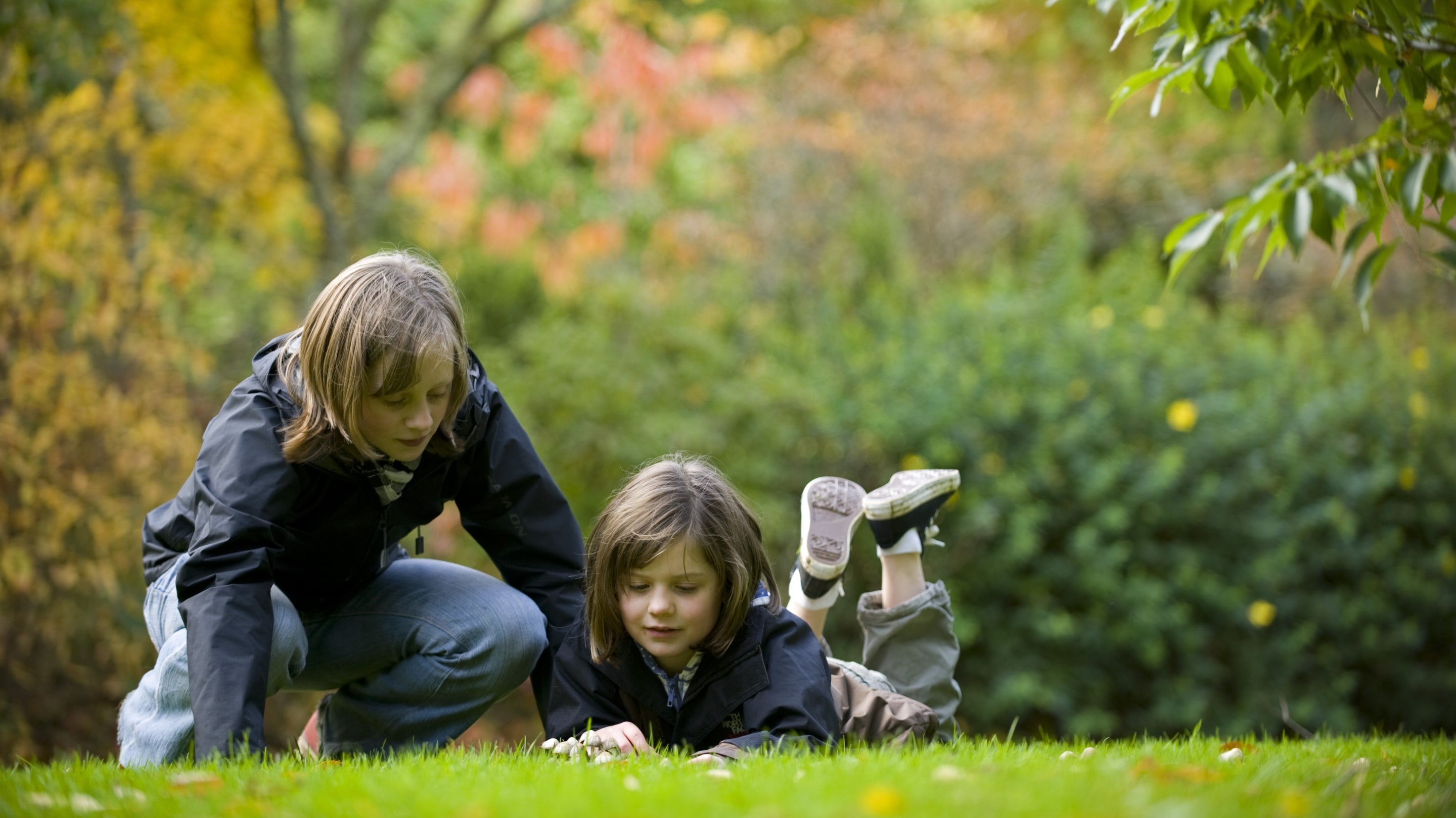 Close-up of two children lying on the grass