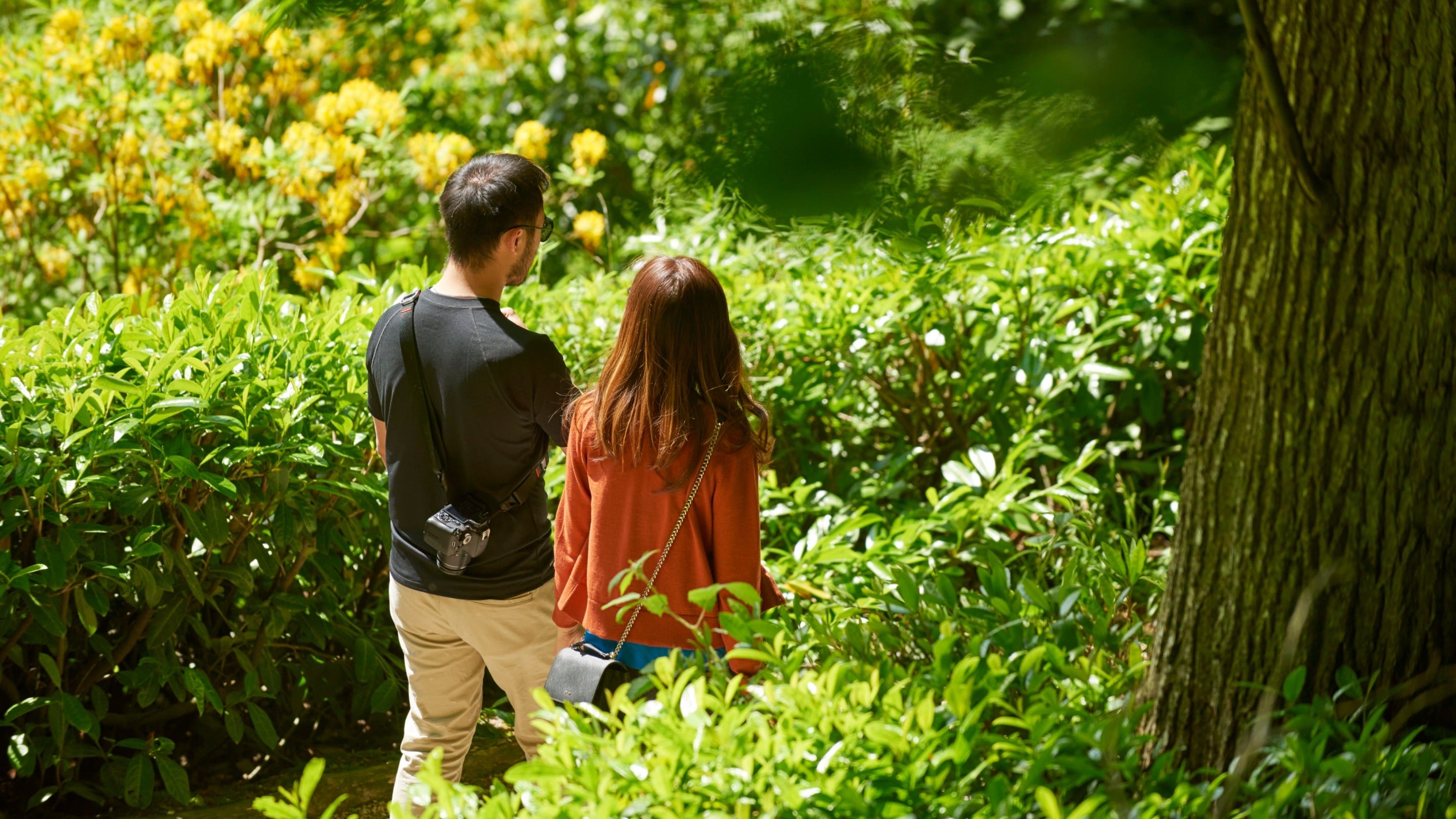A couple walking through a lush green garden, surrounded by vibrant foliage and yellow flowers on a sunny day.