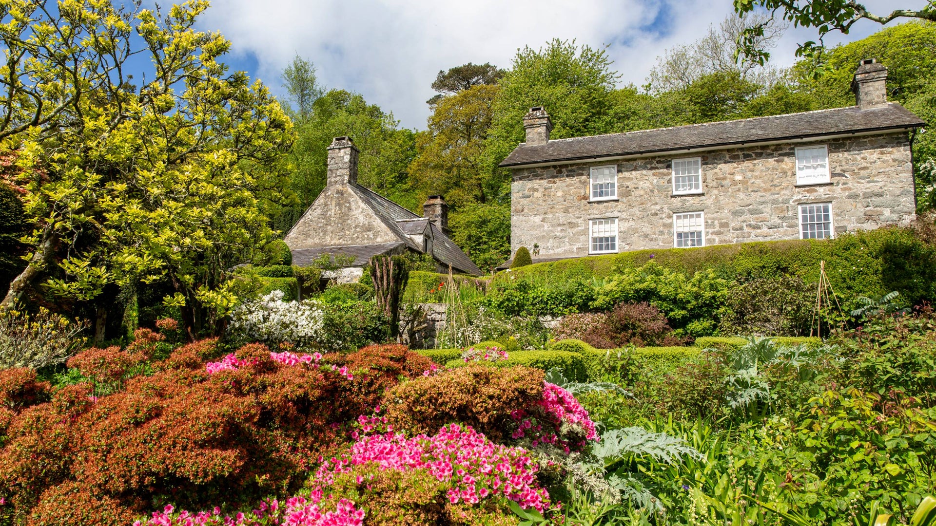 Calan Gaeaf ym Mhlas yn Rhiw | Calan Gaeaf at Plas yn Rhiw Graphic
