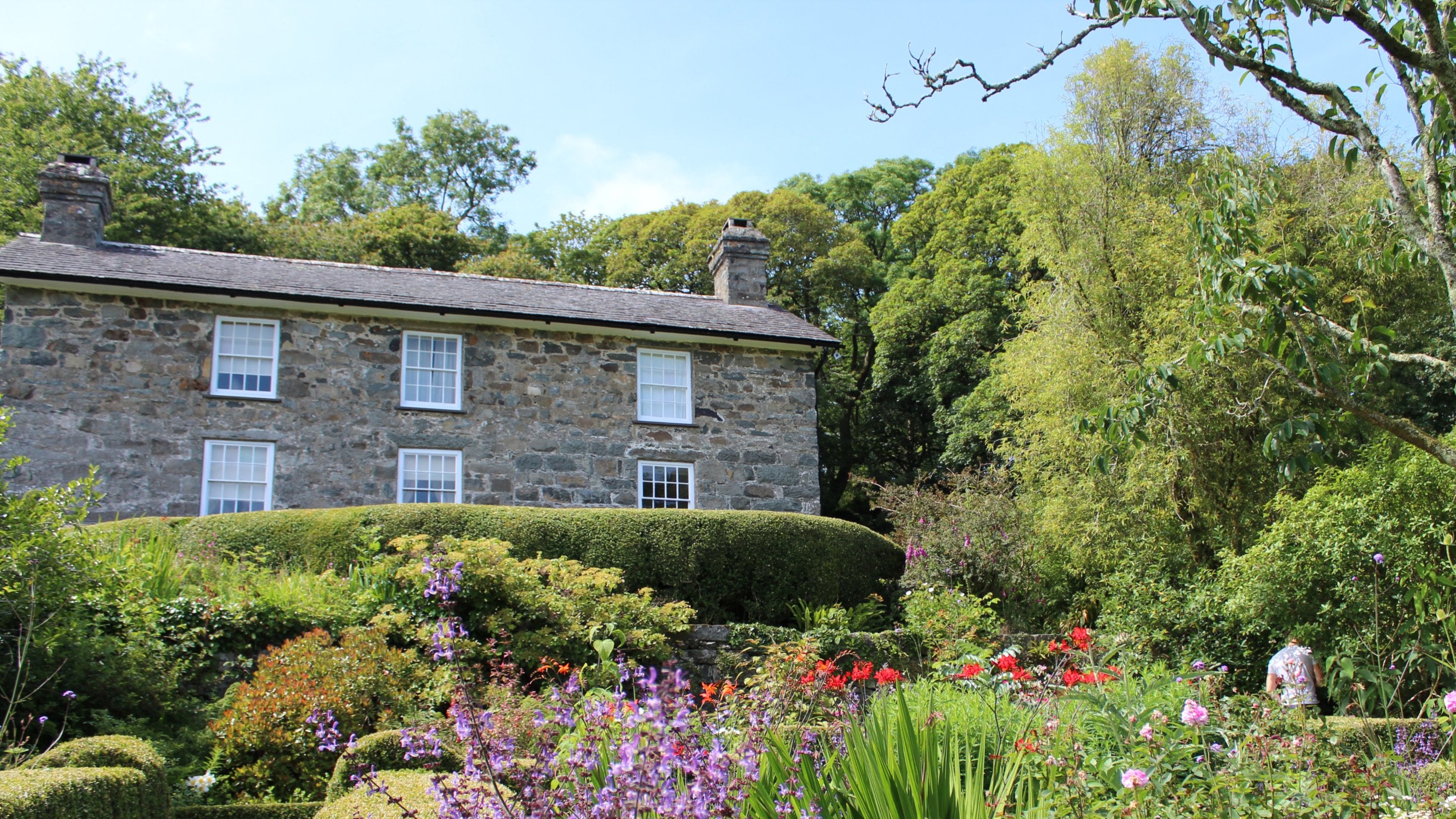 Yr ardd ym Mhlas yn Rhiw, Gwynedd, yn yr haf. Blodau lliwgar yn blodeuo mewn gwelyau ger gwrychoedd pren bocs, ac mae’r tŷ yn sefyll ar dir uchel uwch eu pennau.