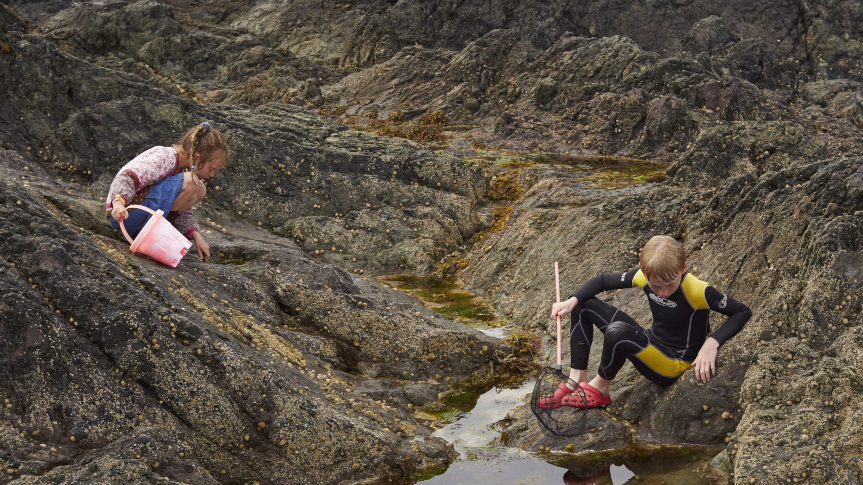 Mae dau o blant yn plygu ac yn edrych ar y pyllau yn y creigiau ym Mhorthor. Un plentyn â bwced pinc yn ei law, a rhwyd gan y llall.