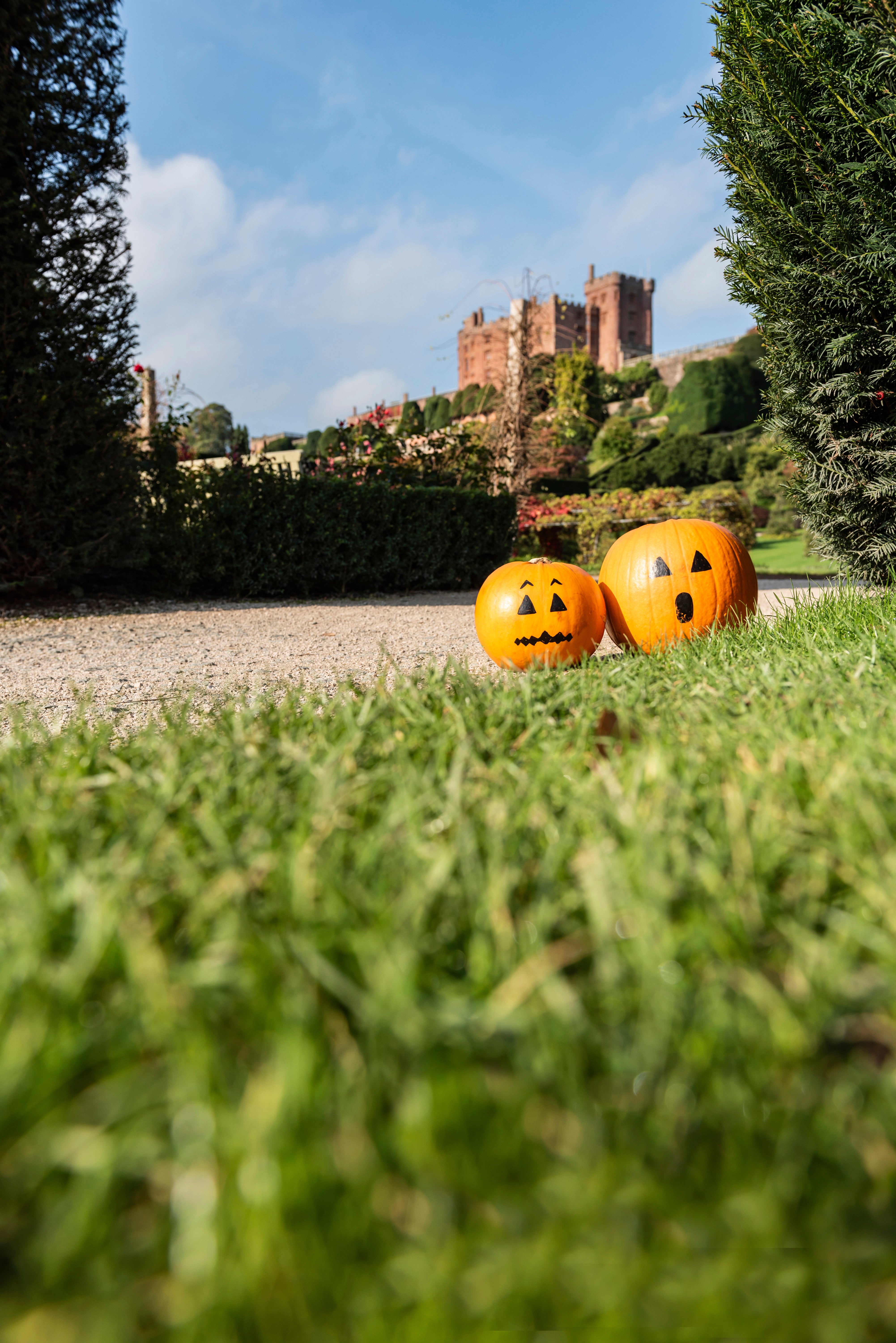Two pumpkins with hand-drawn faces sit on the grass beside a garden path, with Powis Castle rising above the terraced gardens in the background beneath a bright autumn sky.