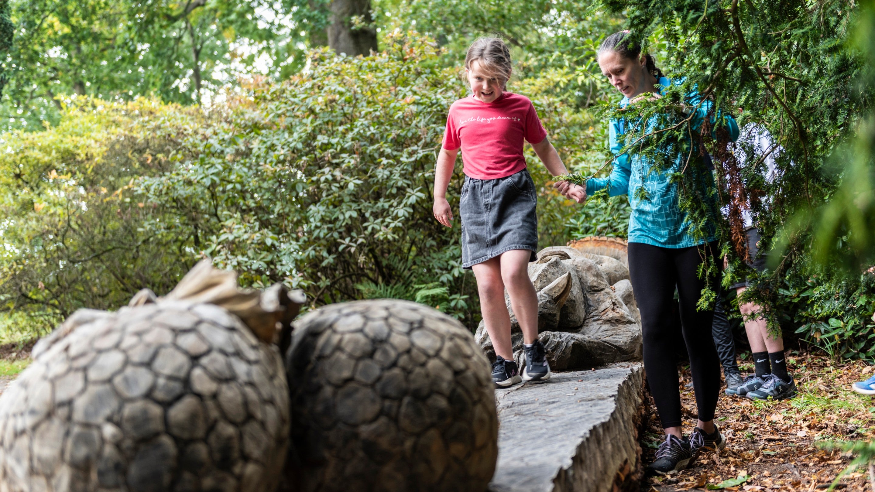 A young girl holding a lady's hand as she balances along a log that is part of a carving of a wyvern at Powis Castle and Garden, Powys. She is surrounded by woodland greenery and in the foreground are carved wooden eggs hatching into baby wyverns.
