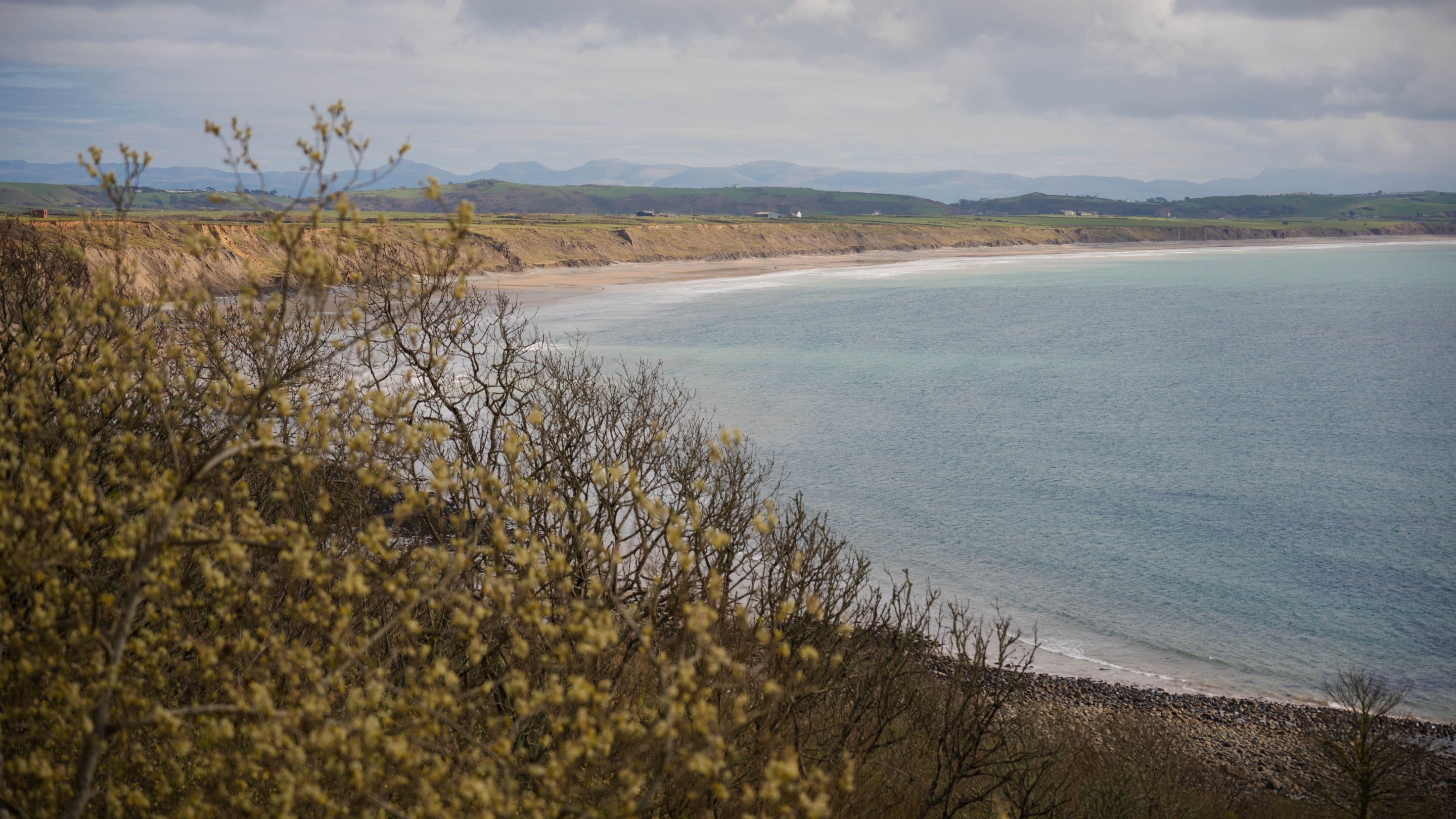 Golygfa o Benrhyn Llŷn o Sarn y Plas, hefo llwyni yn blodeuo yn y blaendir