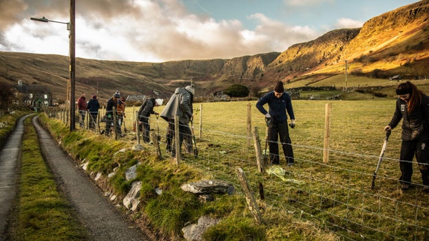 Hedgerow creation day at Foel, Eryri (Snowdonia), North Wales