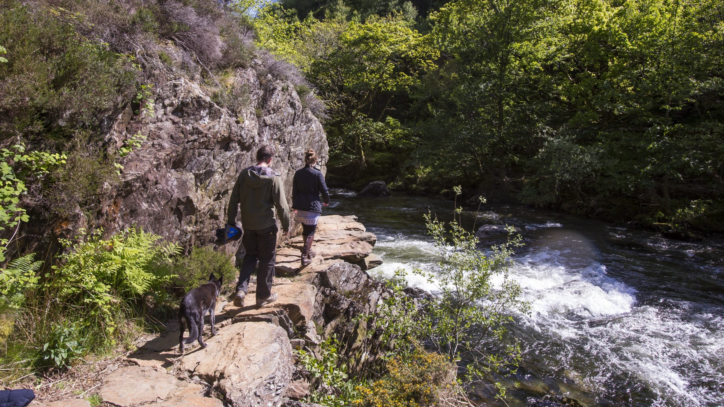 Two people and a dog walking along a rocky ledge through a gorge with fast moving river to the right