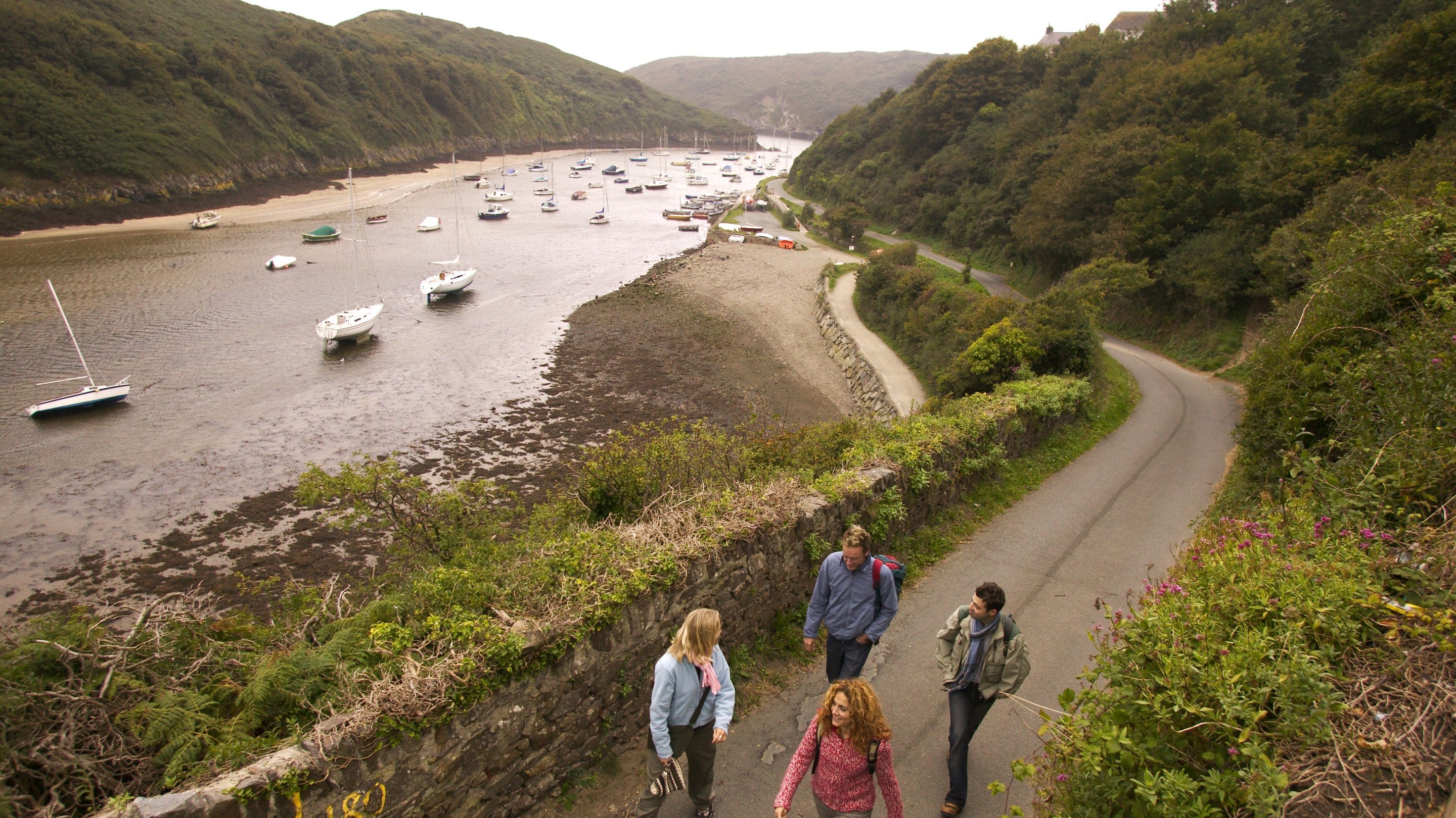 Four visitors walking up a path overlooking Solva Harbour