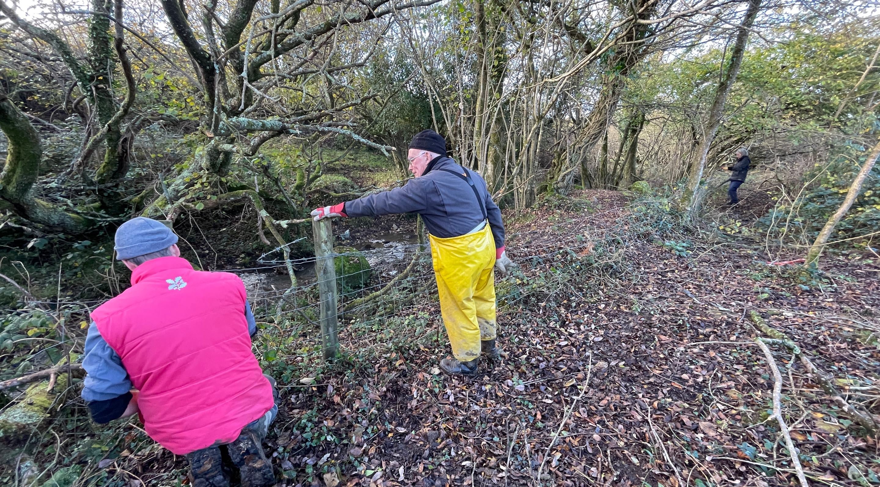 Volunteer rangers removing fencing, Southwood Estate, Pembrokeshire