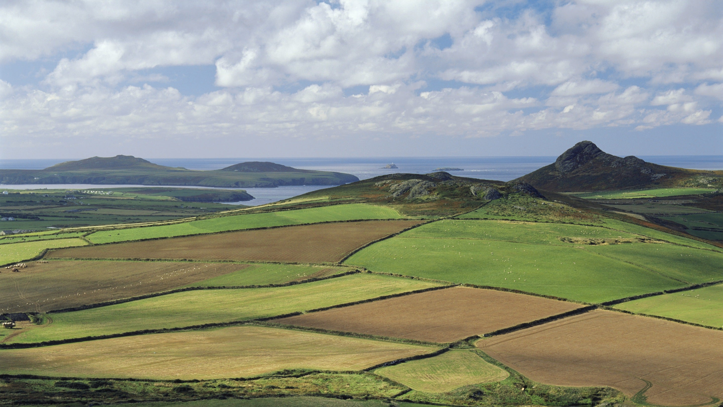 A patchwork of ancient farmland at St David's peninsula