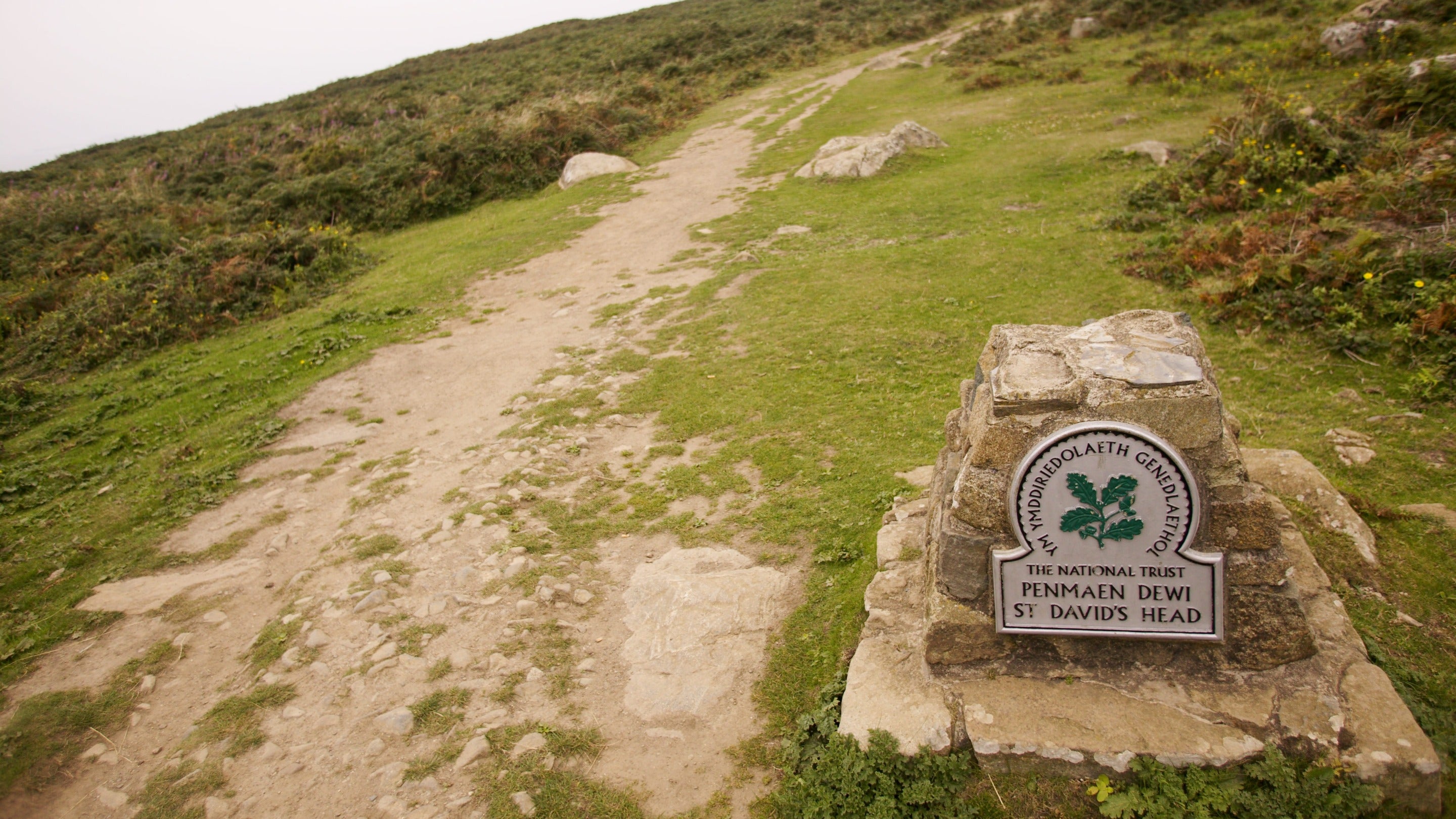 A pathway leading past the National Trust sign at St David’s Head in Pembrokeshire, Wales