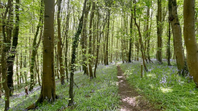 Stackpole | Pembrokeshire | Wales | National Trust