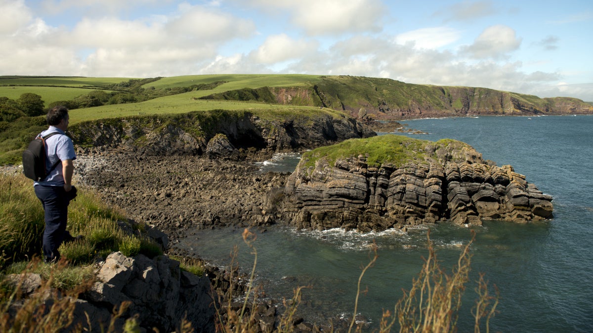 Stackpole wildlife walk | Pembrokeshire | National Trust