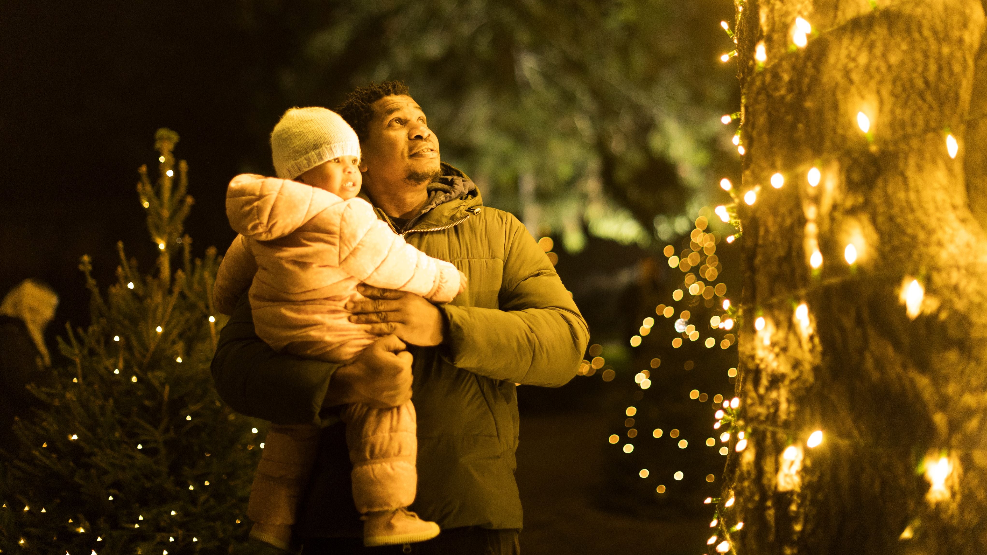 A father and daughter enjoying the cedar tree lights.