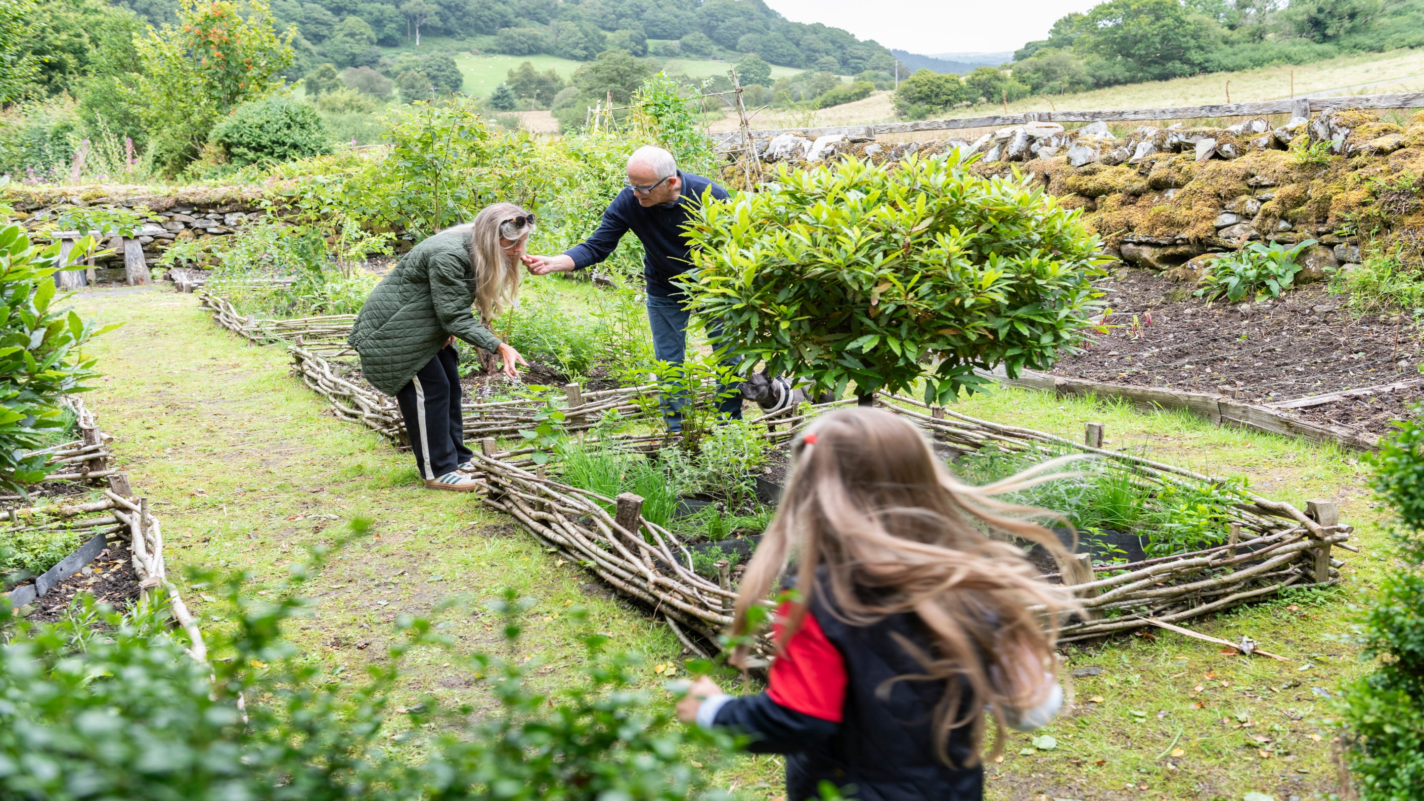 Family exploring the Tudor garden at Tŷ Mawr Wybrnant, Conwy, Wales