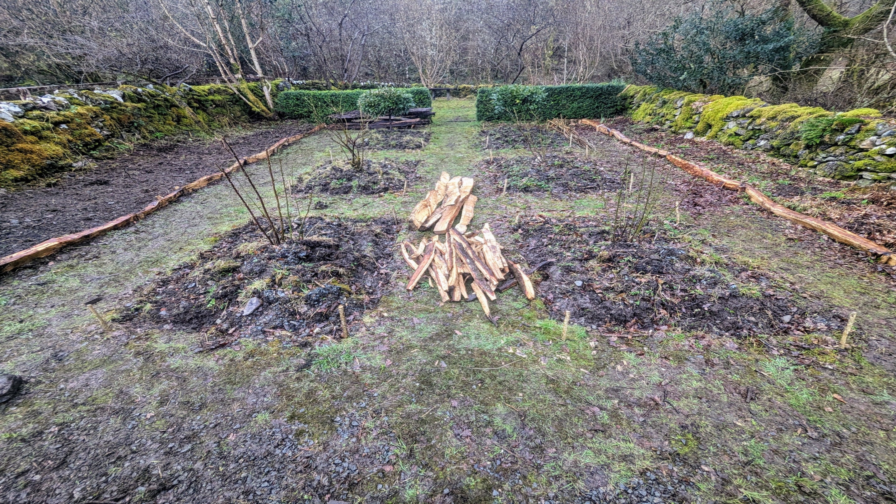 Garden at Tŷ Mawr at the start of recent restoration