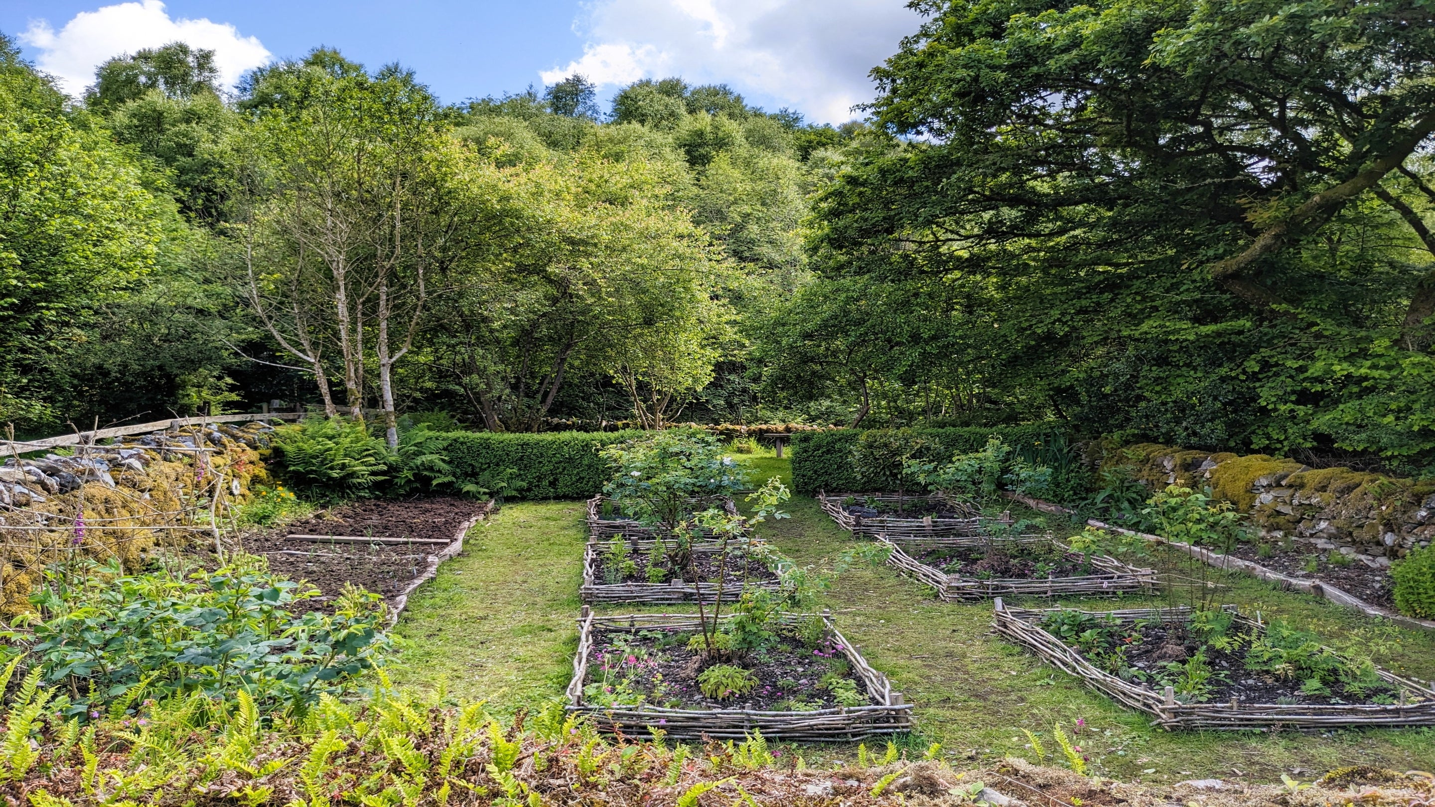 The Tudor Garden at Tŷ Mawr