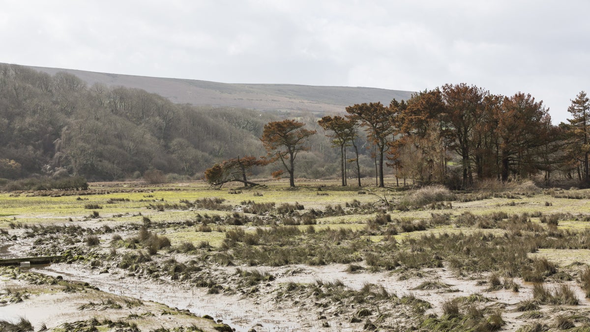 Cwm Ivy on North Gower coastWales National Trust