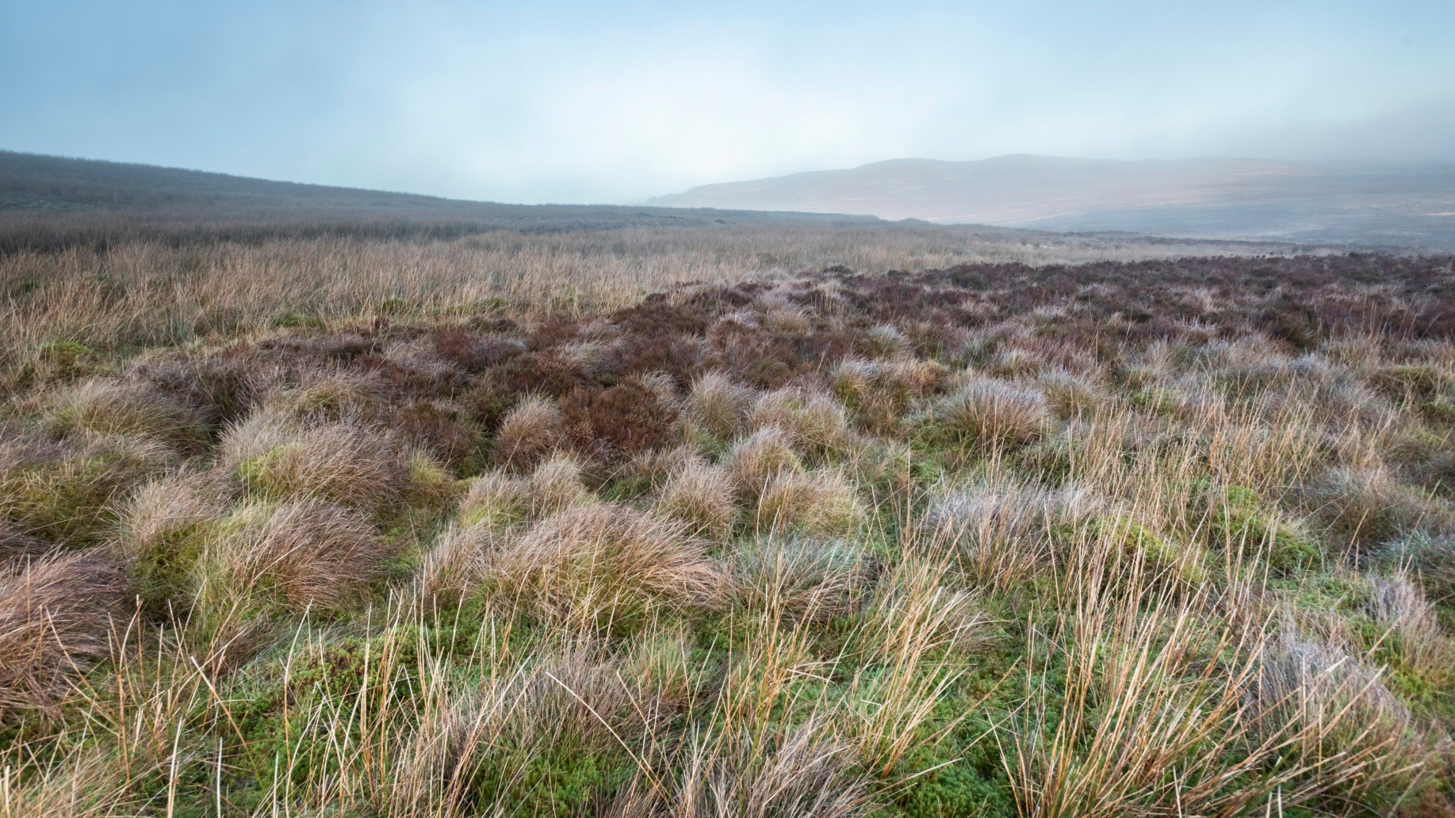 A view across the moorland at Cwm Penmachno with a hill in the distance and low clouds in the sky
