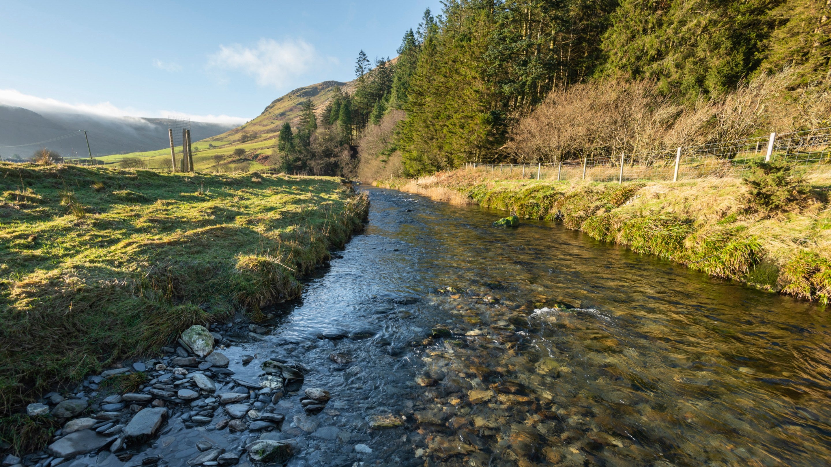 A view of a river surrounded by moorland and trees on a sunny day at Cwm Penmachno, with a distant view of the mountains in the background