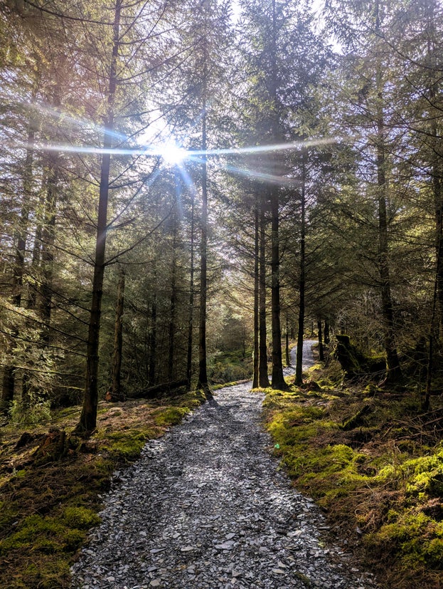 A new path created in Cwm Penmachno as part of the Uwch Conwy Project