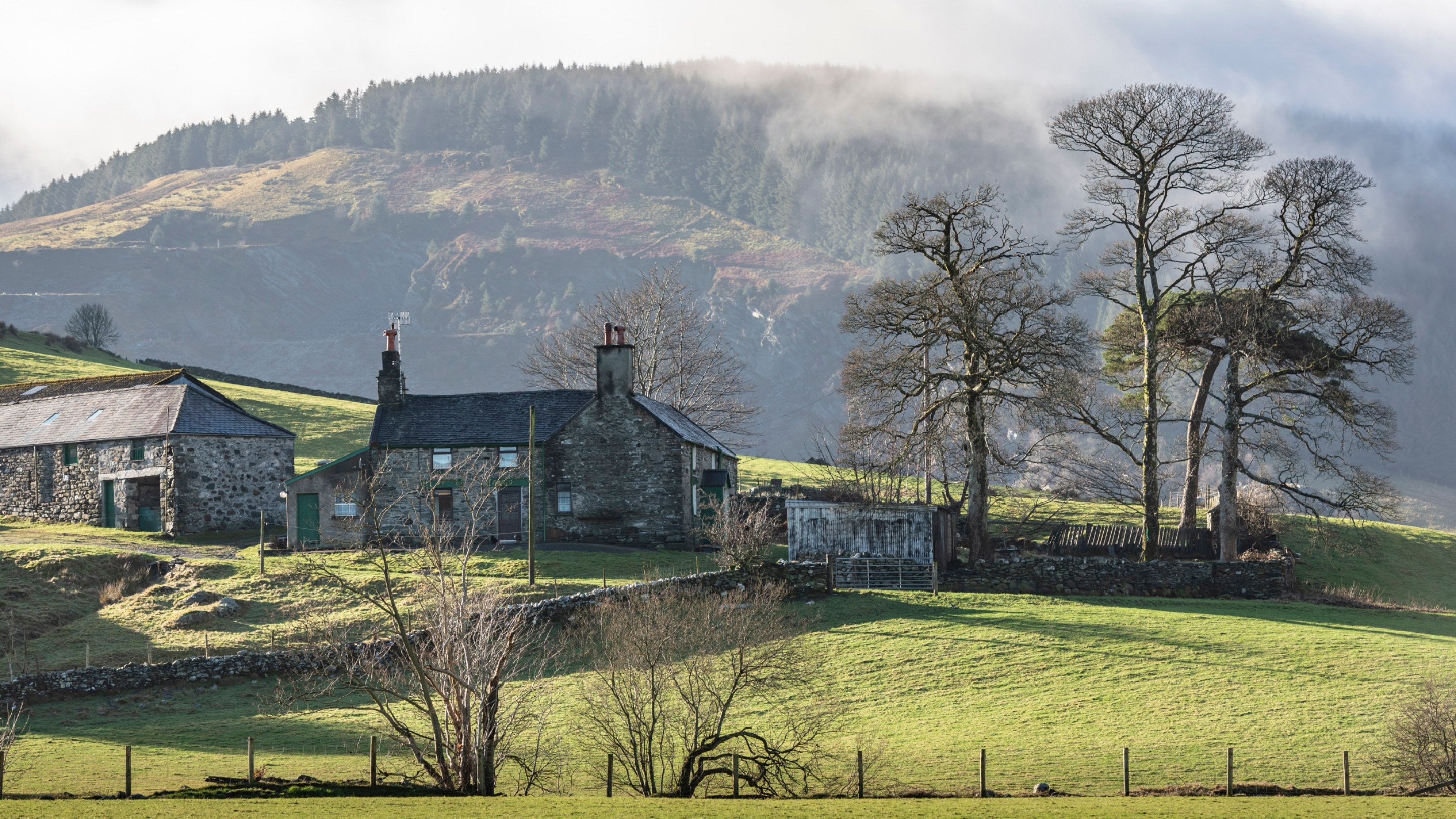 A view of the farm buildings at Cwm Penmachno surrounded by green fields and trees on a sunny day, with a view of the mountain in the background