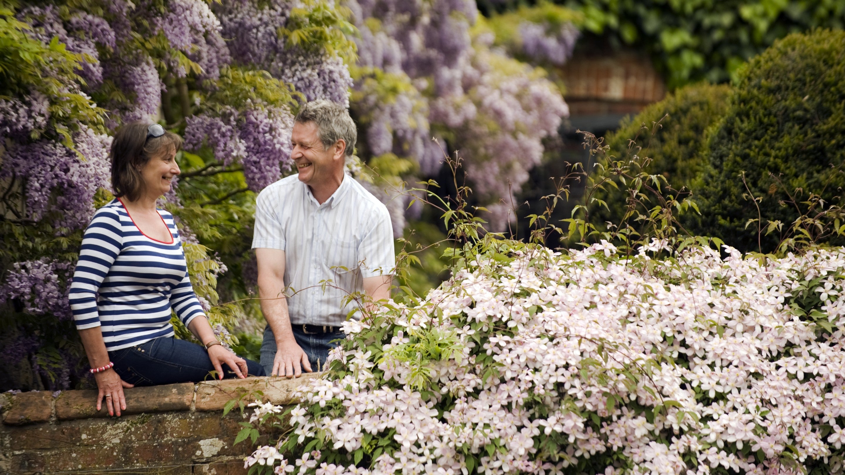 A man and a woman in the courtyard garden at Baddesley Clinton, Warwickshire. Behind them the wisteria is in full bloom, and a clematis is flowering