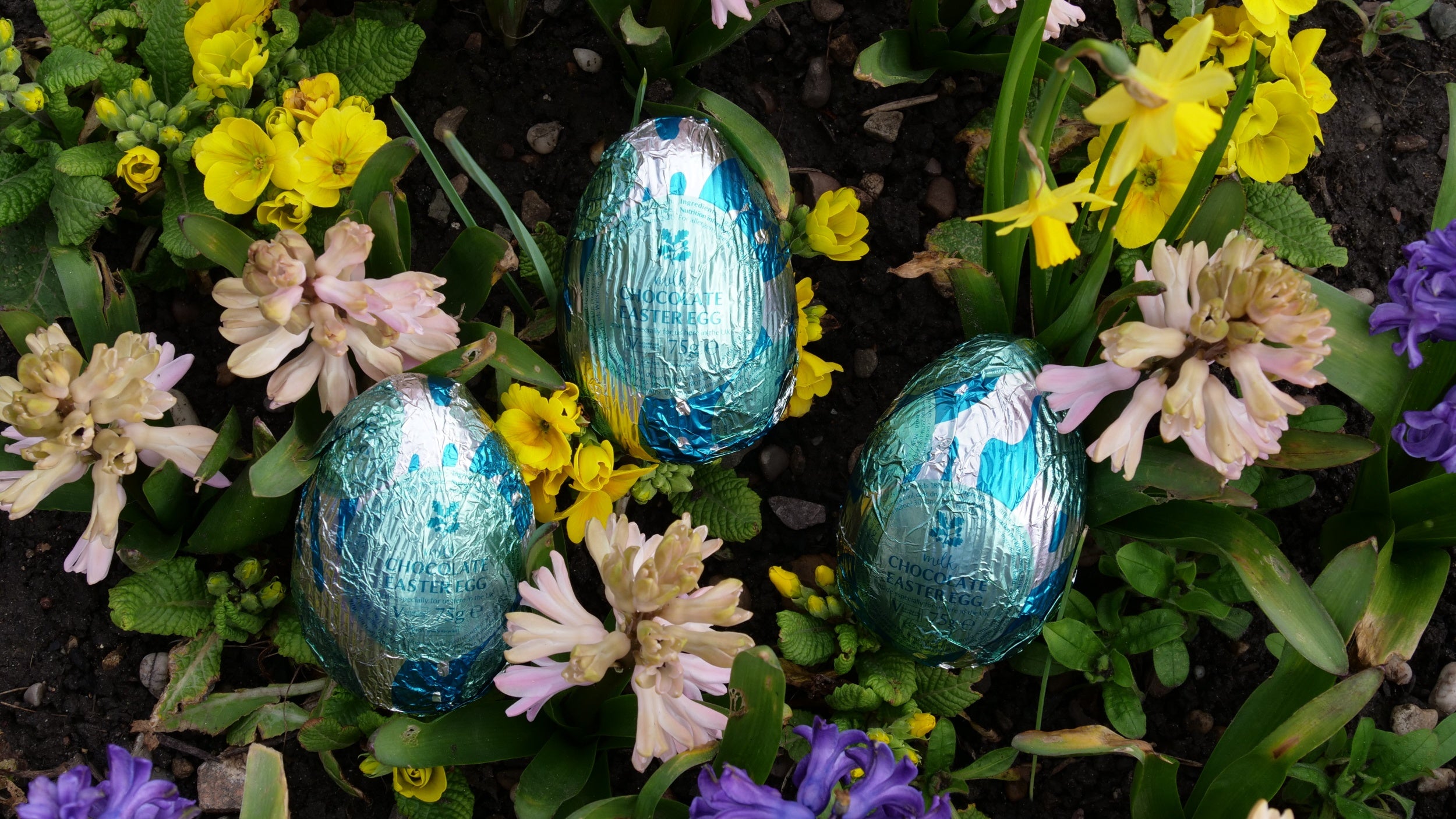 Brightly coloured Easter eggs among the flower borders