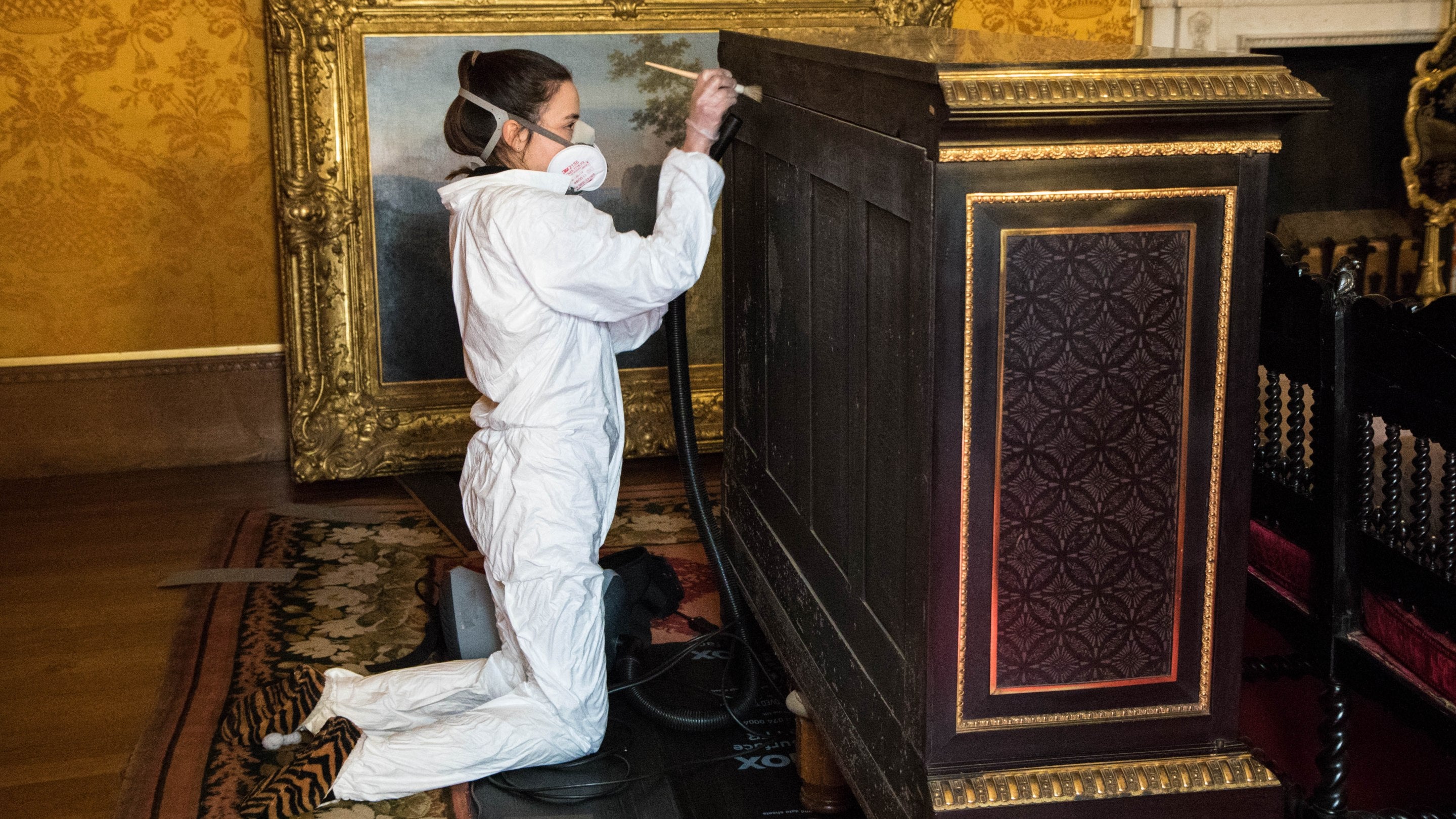 A team member is kneeling in a full body protective white suit, with a mask on, using a pony hair brush to remove mould off the back of a cabinet.