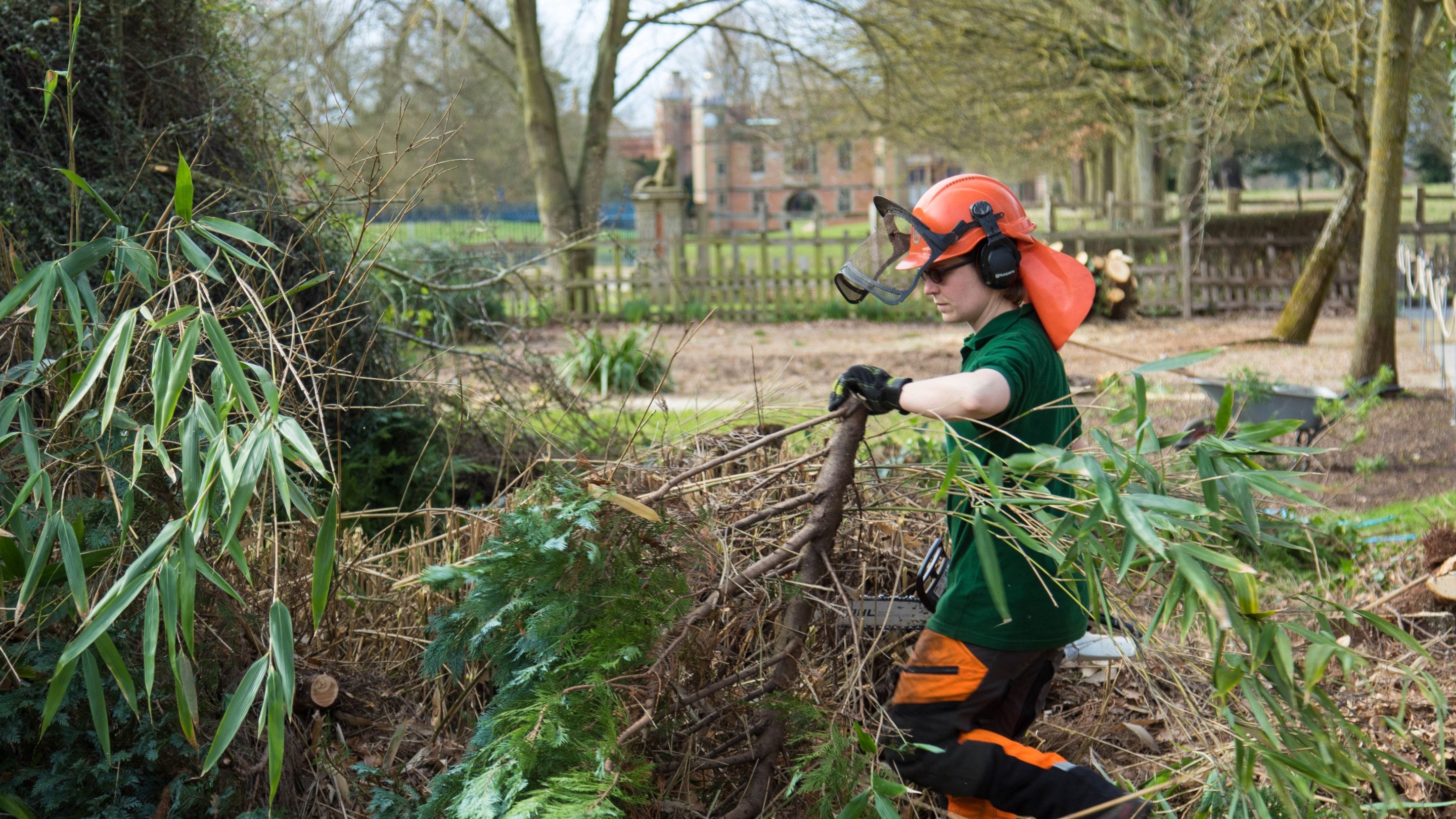 A National Trust ranger dressed in protective equipment, moves trimmed foliage in the parkland, with the Gatehouse in the distant background.