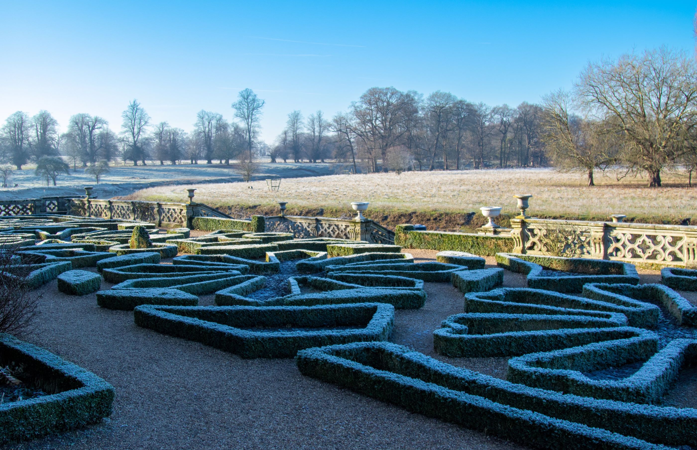 Charlecote's Parterre with frost and the parkland in the background