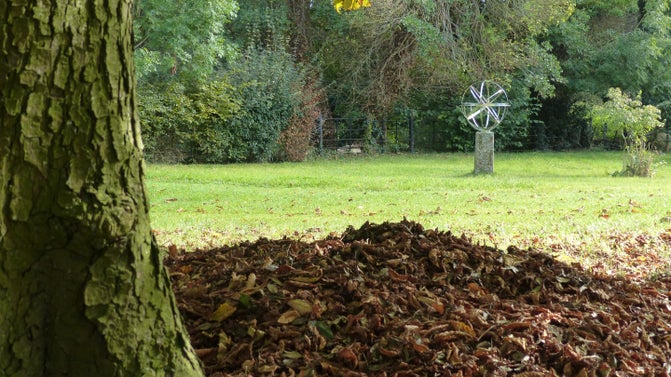 Autumn leaves at Coughton Court