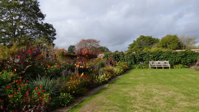 Herbaceous borders recovering from dry summer