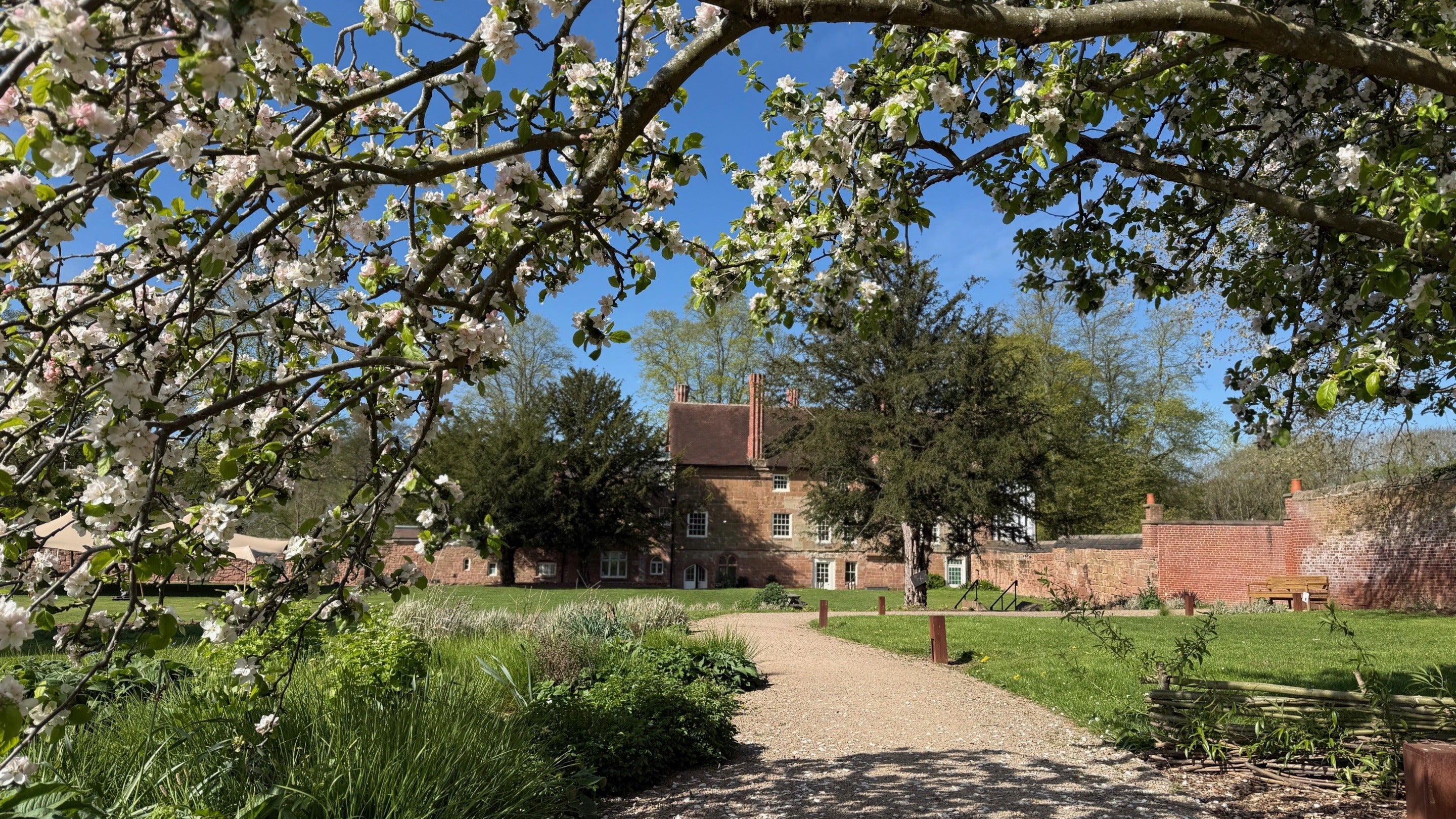 Blossom at Coventry Charterhouse