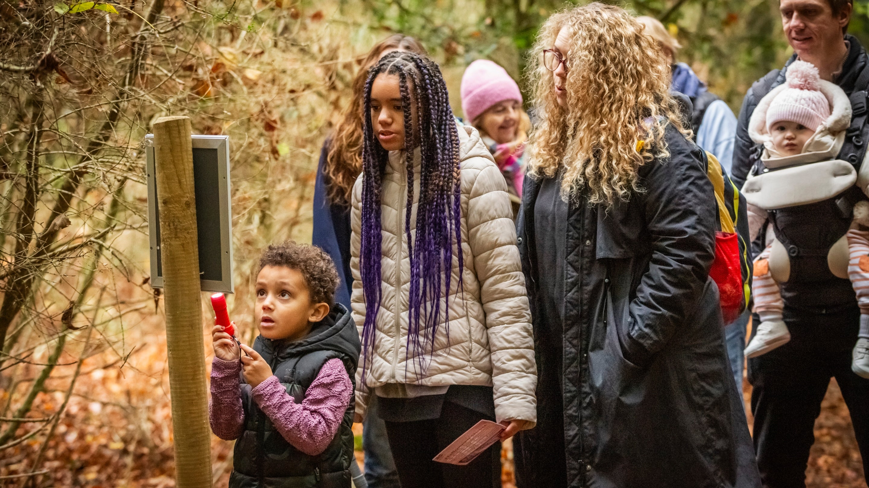A group of people, with children, exploring a woodland trail.