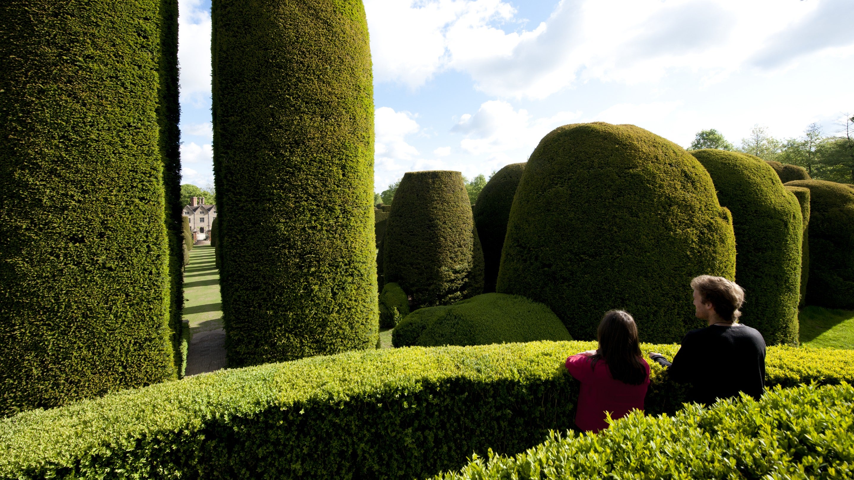 A couple surveying the yew trees from the mount in the Yew Garden at Packwood House, Warwickshire