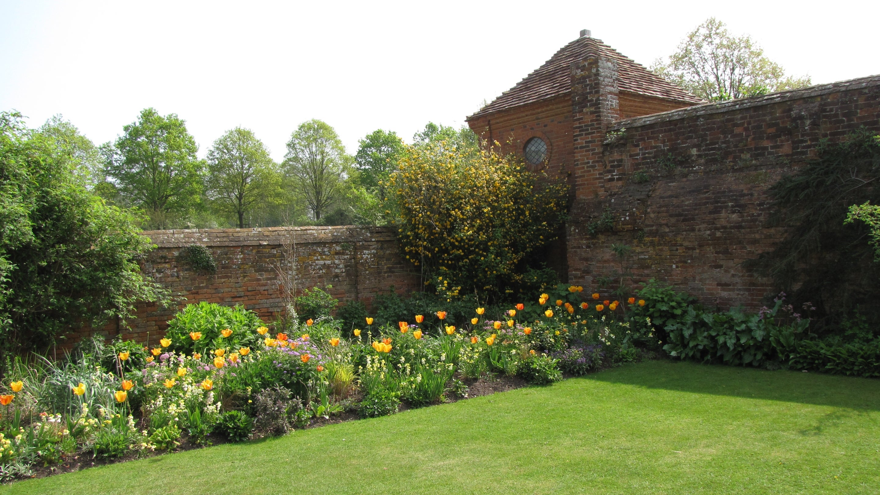 Tulips in the borders at Packwood, Warwickshire
