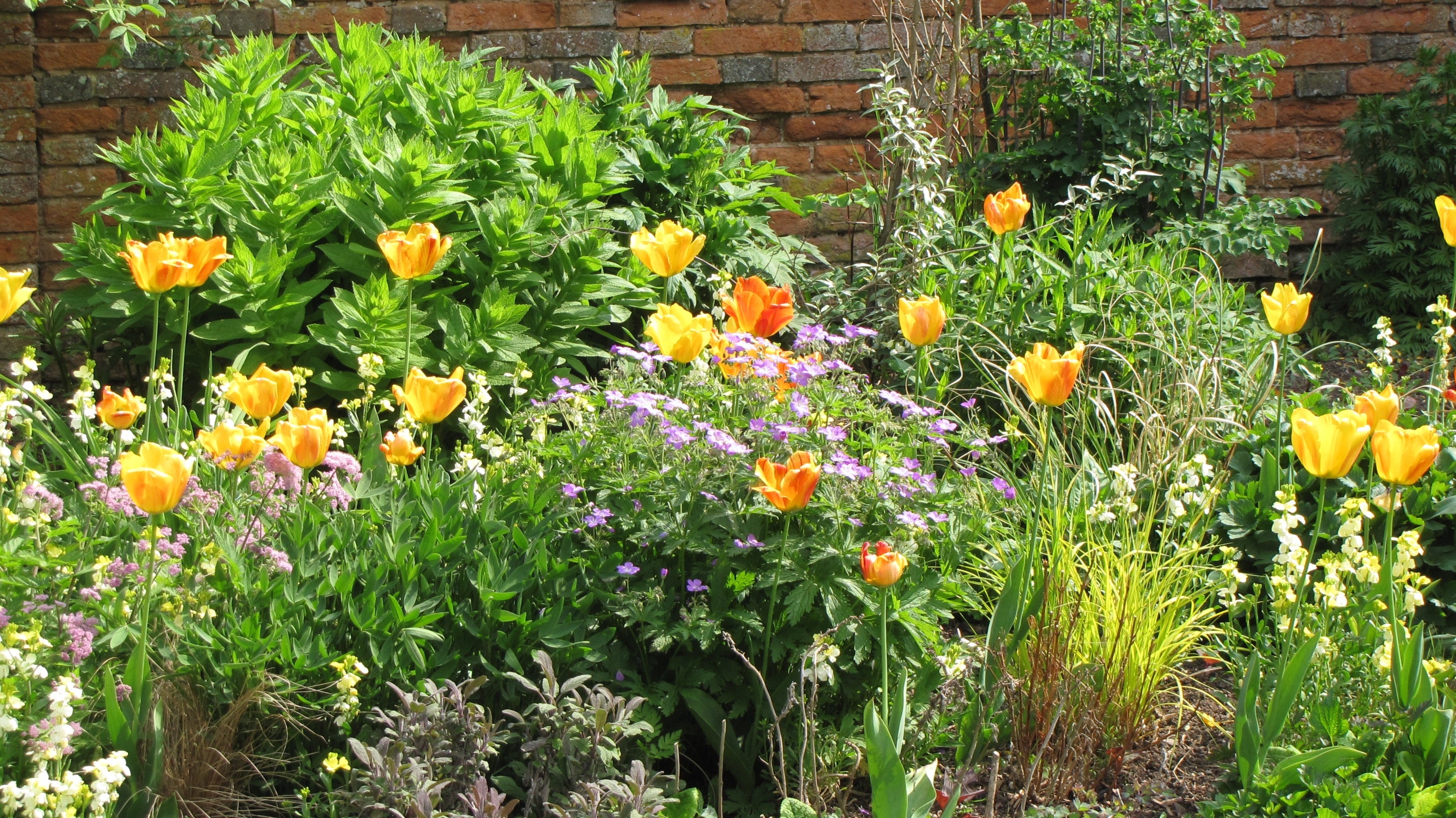 A view of spring colour in the gardens at Packwood, Warwickshire