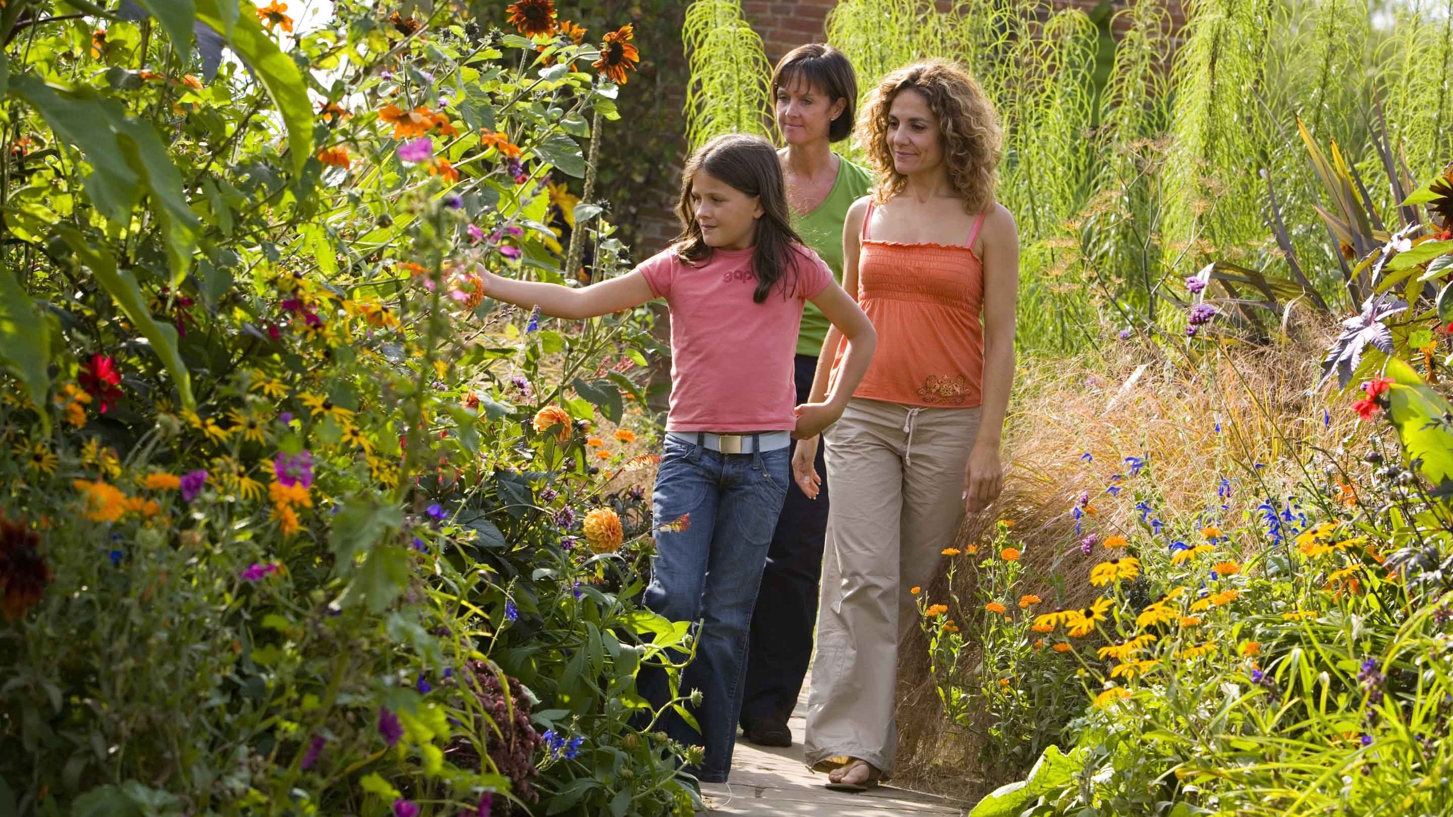Three visitors look at the tall, colourful flowers growing on either side of a path in the garden at Packwood House, Warwickshire