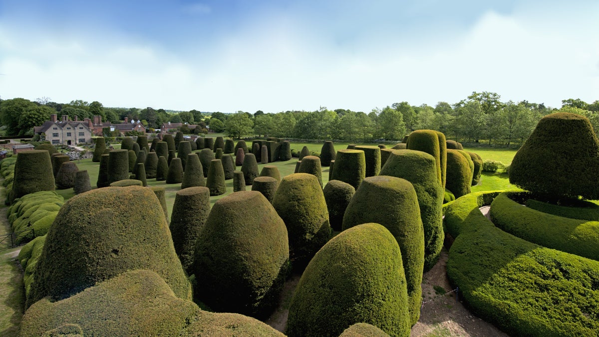 Yew Garden at Packwood Warwickshire National Trust