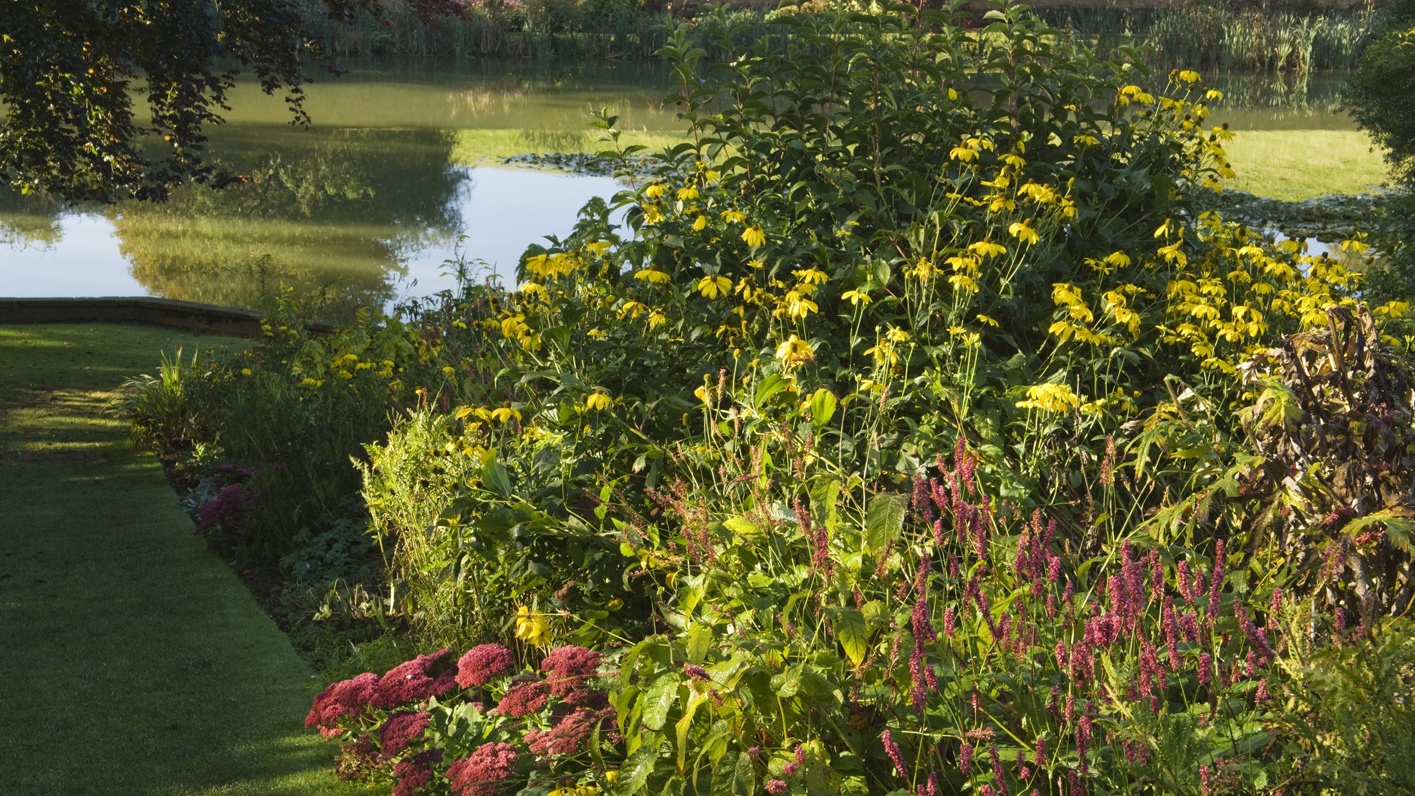A double herbaceous border in the full bloom of summer, a grass path skirts the border and a pool can be seen by the path.