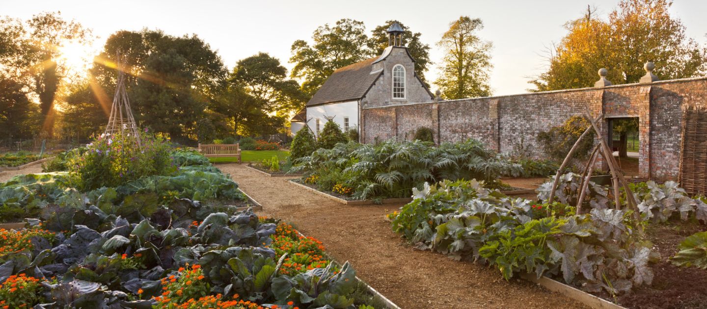 A view across Avebury Manor's Kitchen Garden at sunset