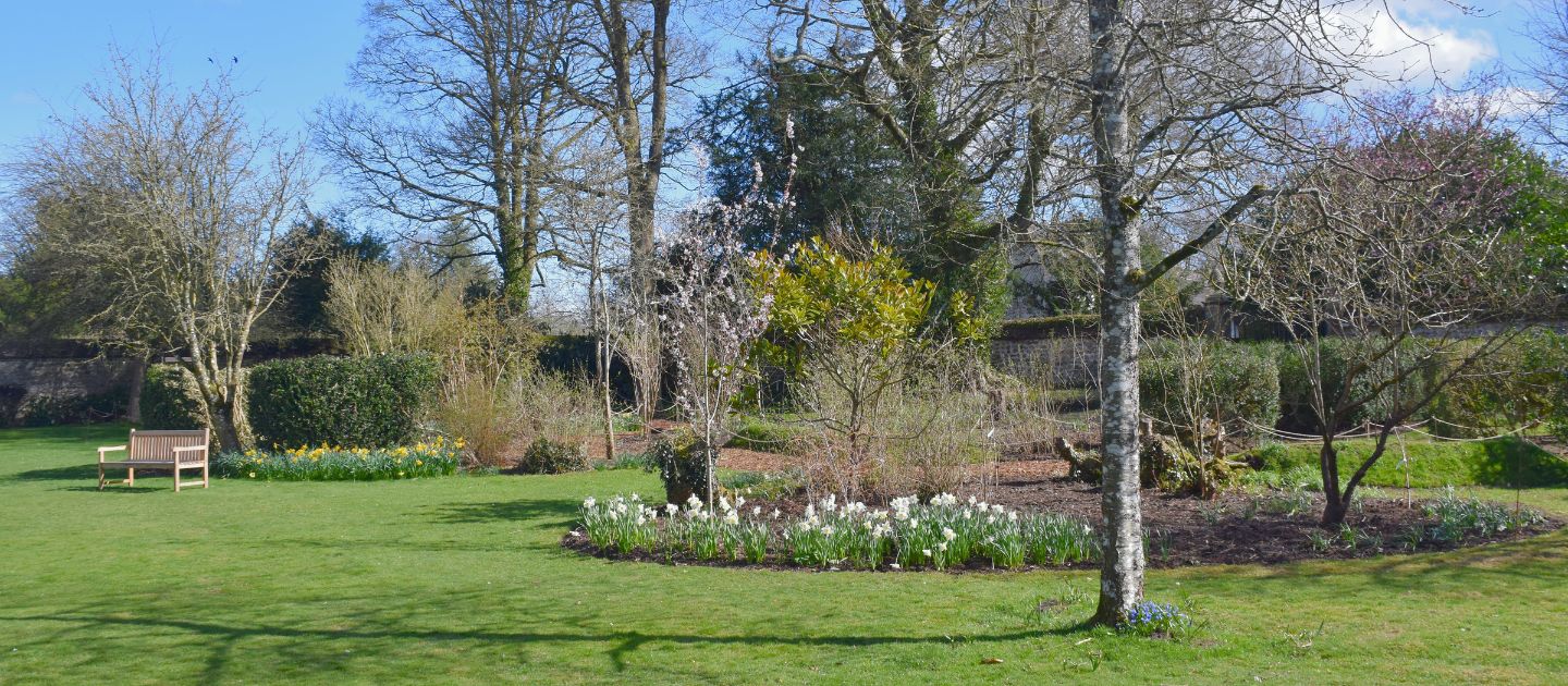 A scenic view of the South Lawn at Avebury Manor Garden,  with a well-maintained lawn, blooming flower beds with white and yellow daffodils, and trees. A wooden bench sits on the grass to the left, with a stone wall and hedges in the background under a clear blue sky.