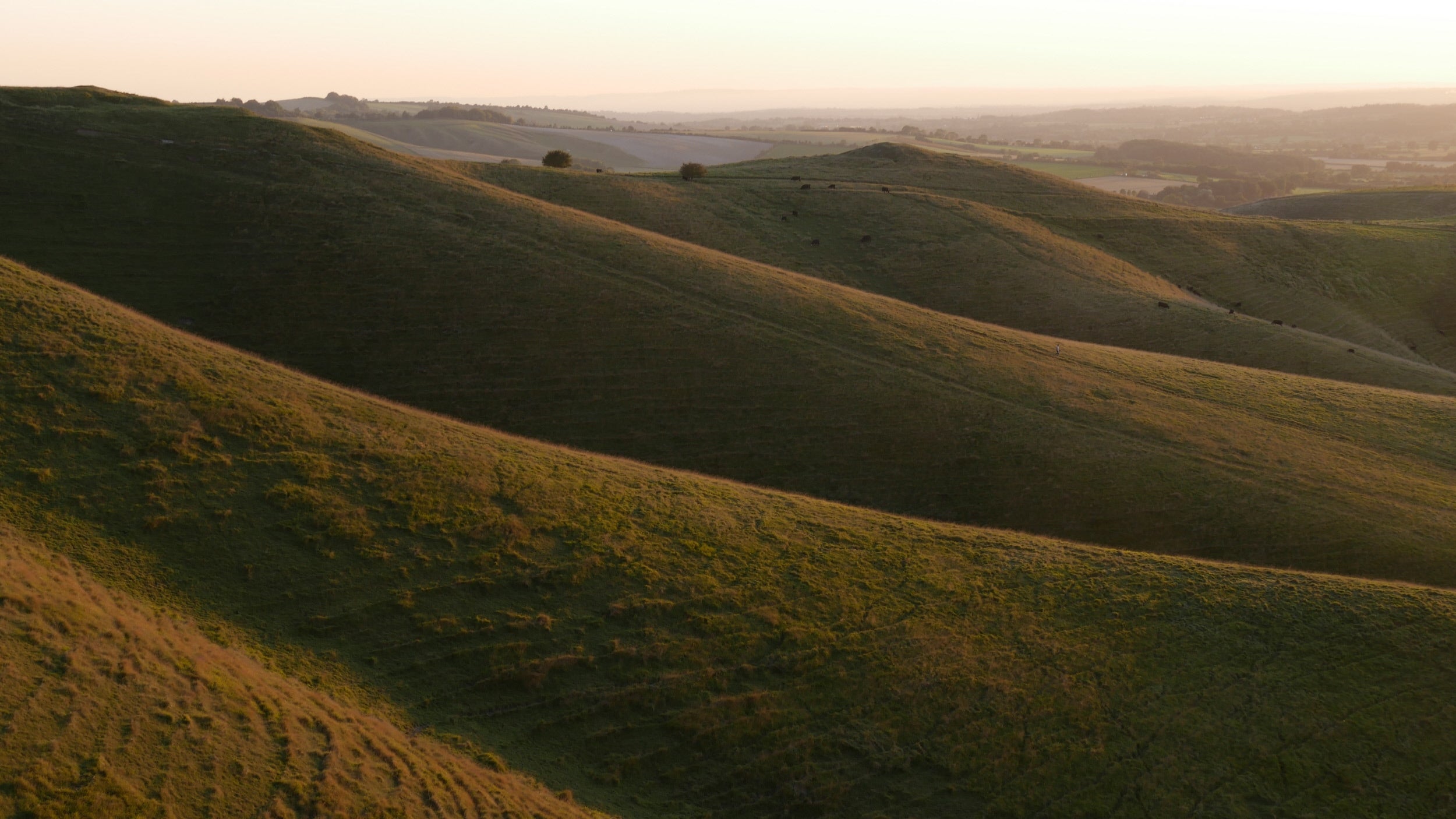 Late evening light in the coombes at Calstone and Cherhill Downs, Wiltshire